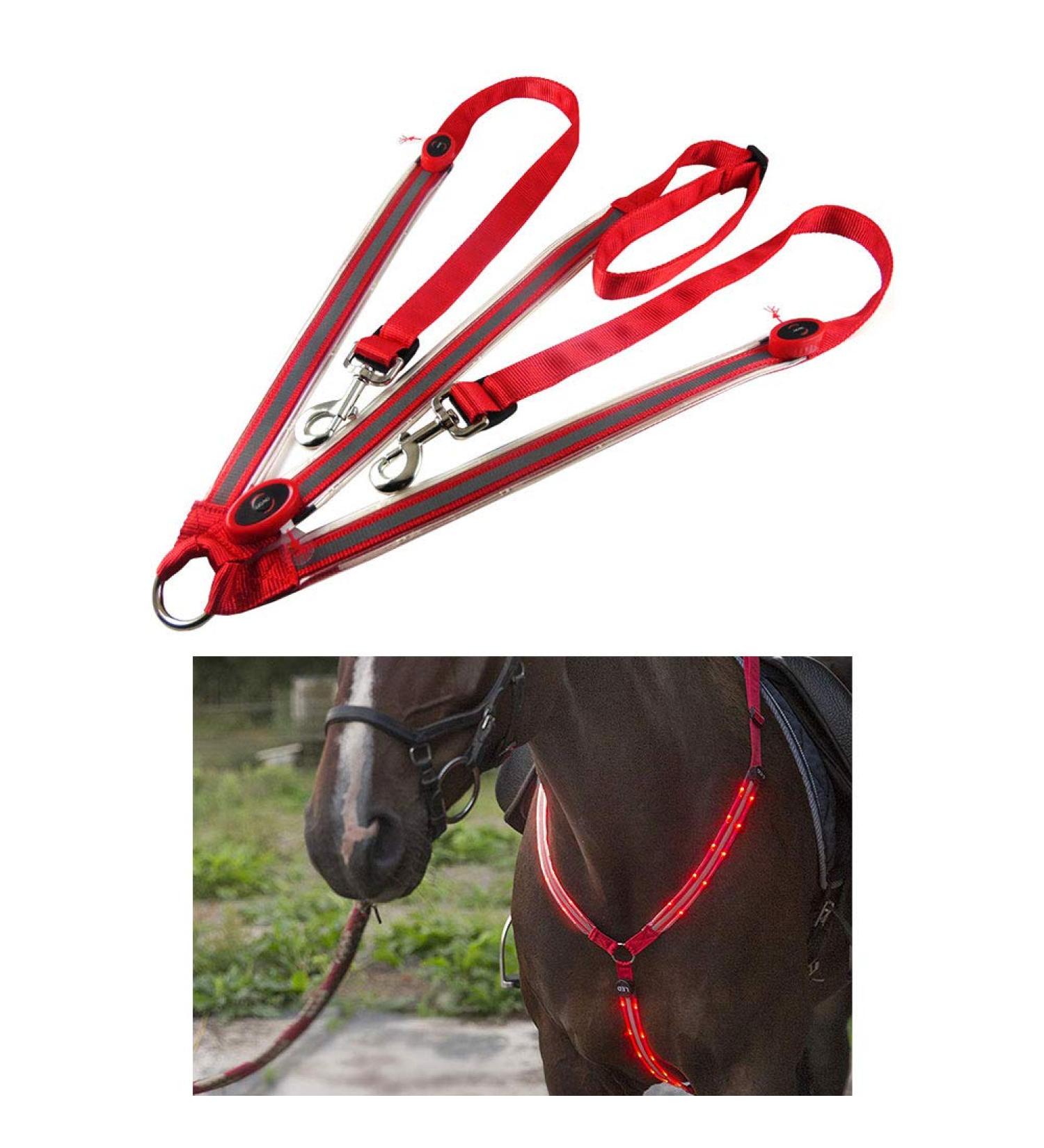 Premium LED Horse Harness | Robust & Comfortable Chest Strap - Best Visibility for Safe Riding - Buy Online on GoSupps.com