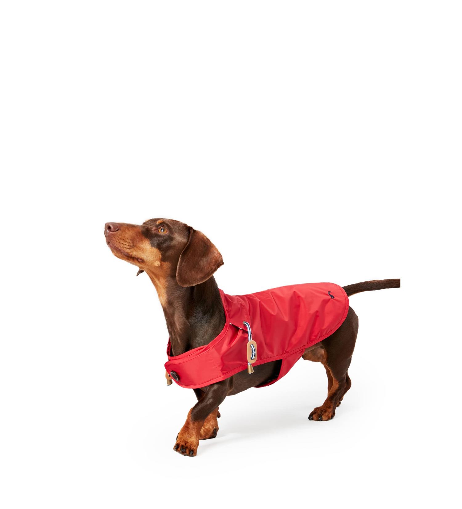 Rosewood Joules Red Raincoat - Small - Buy Online on GoSupps.com