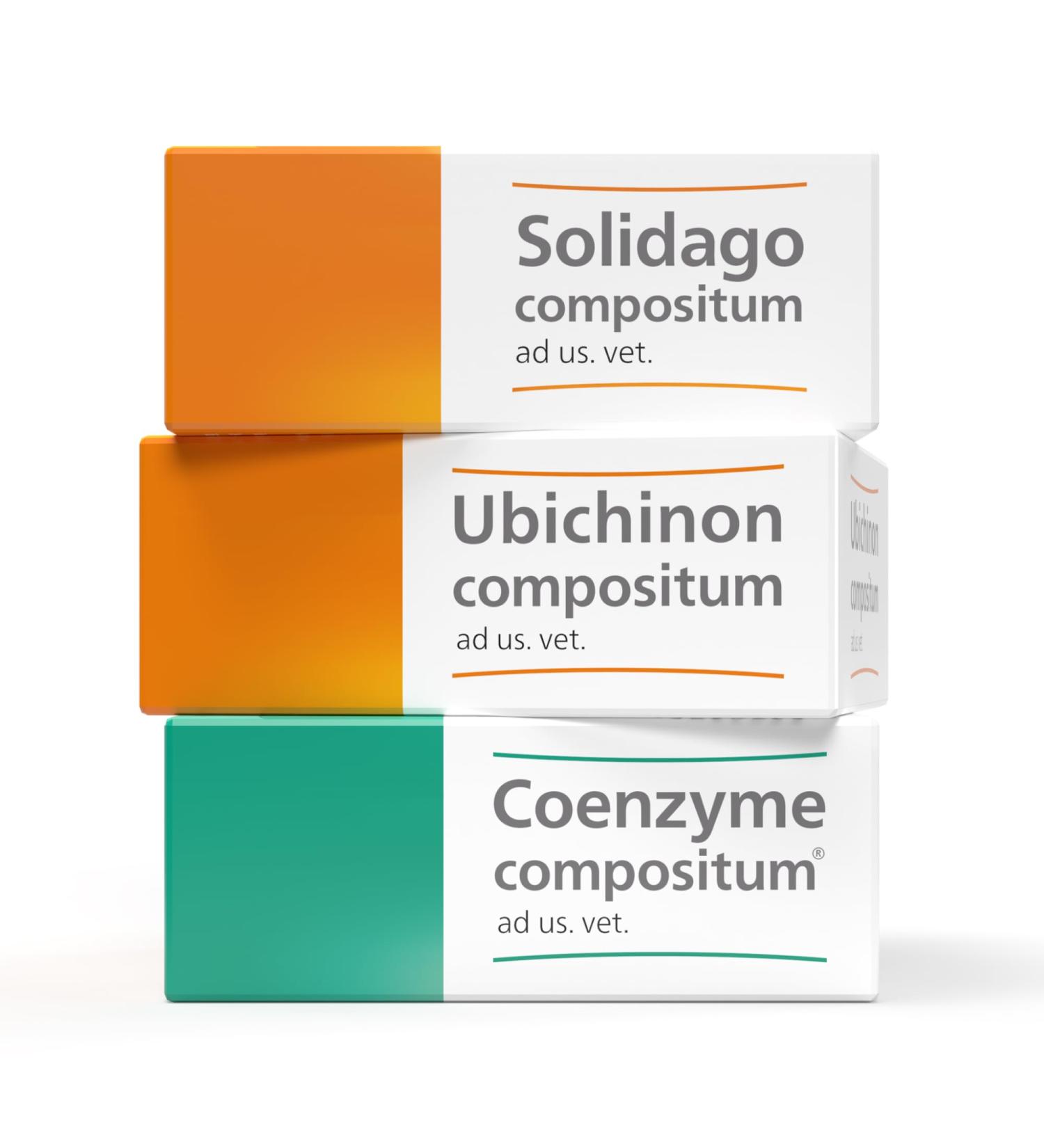 Buy COENZYME COMPOSITUM ad us.vet. Ampoules - 10pcs | Optimal Pet Health Solution for International Shipping - Buy Online on GoSupps.com