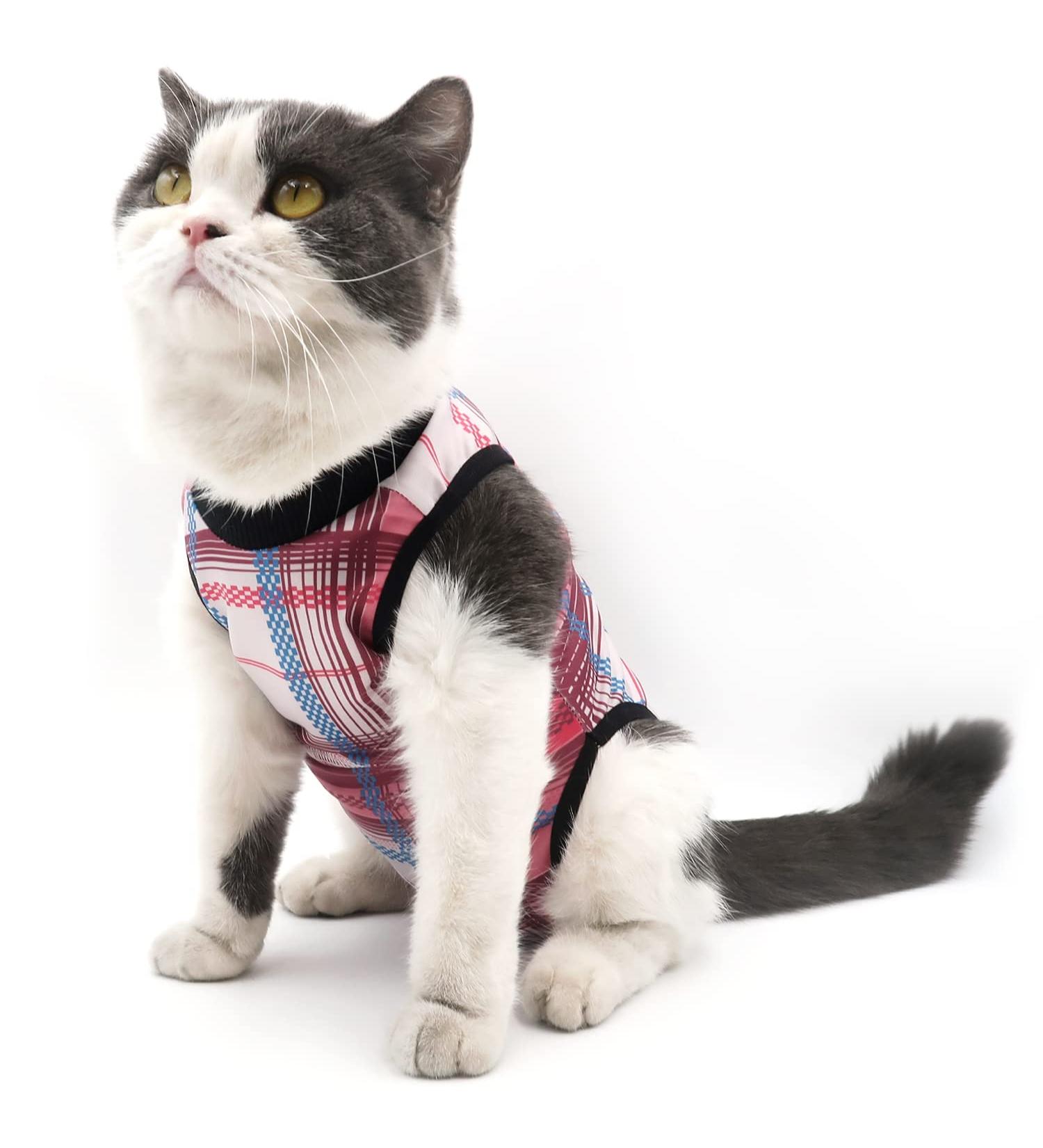 Due Felice Cat Recovery Suit Small Dog Surgical Onesie | E-Collar Alternative | Pink Plaid | Size L - Buy Online on GoSupps.com