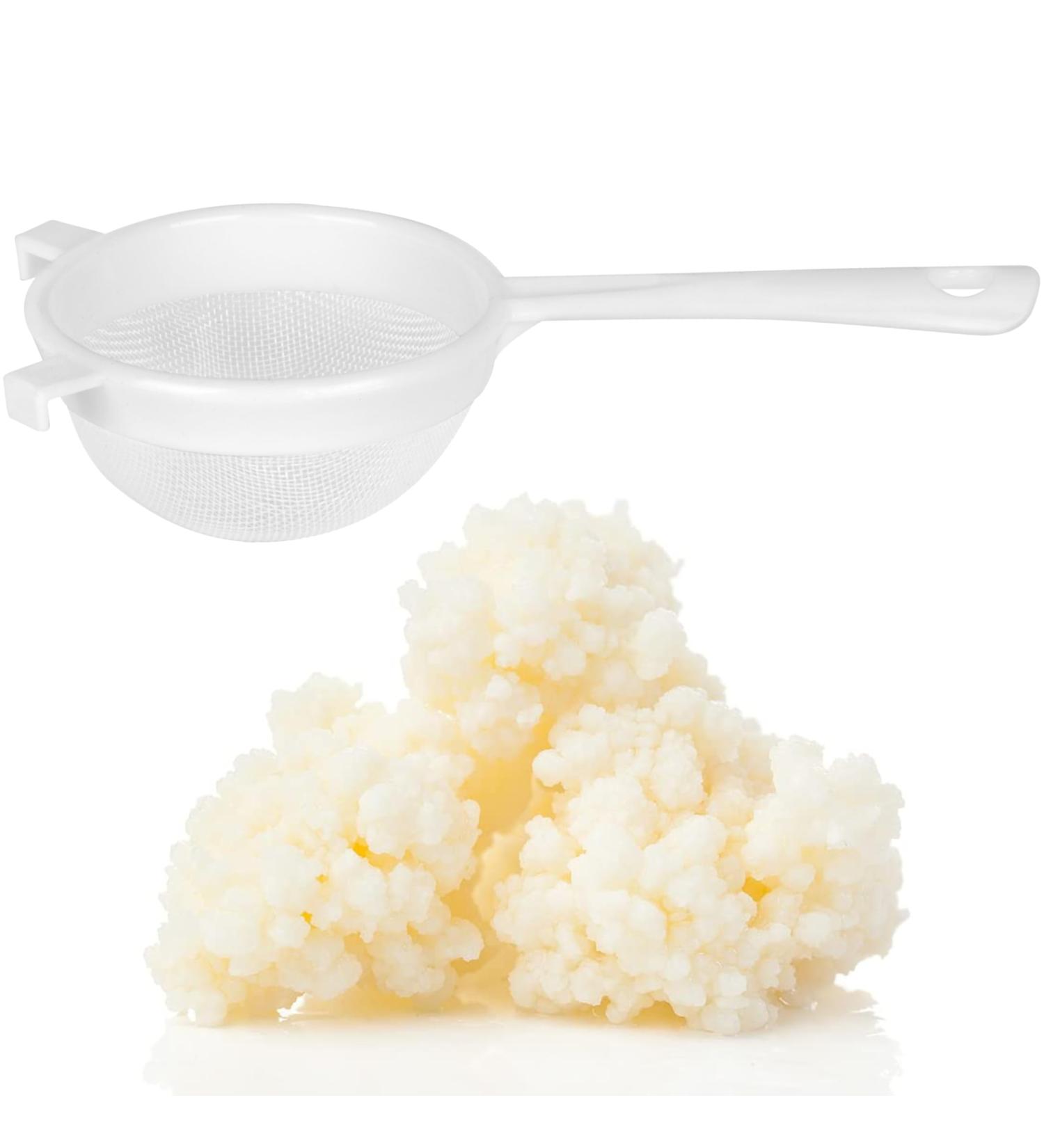 Curly Superfood Bio Kefirilz Set - 10g Organic Kefir Starter Cultures from Germany - Make Real Milk Kefir at Home - Buy Online on GoSupps.com