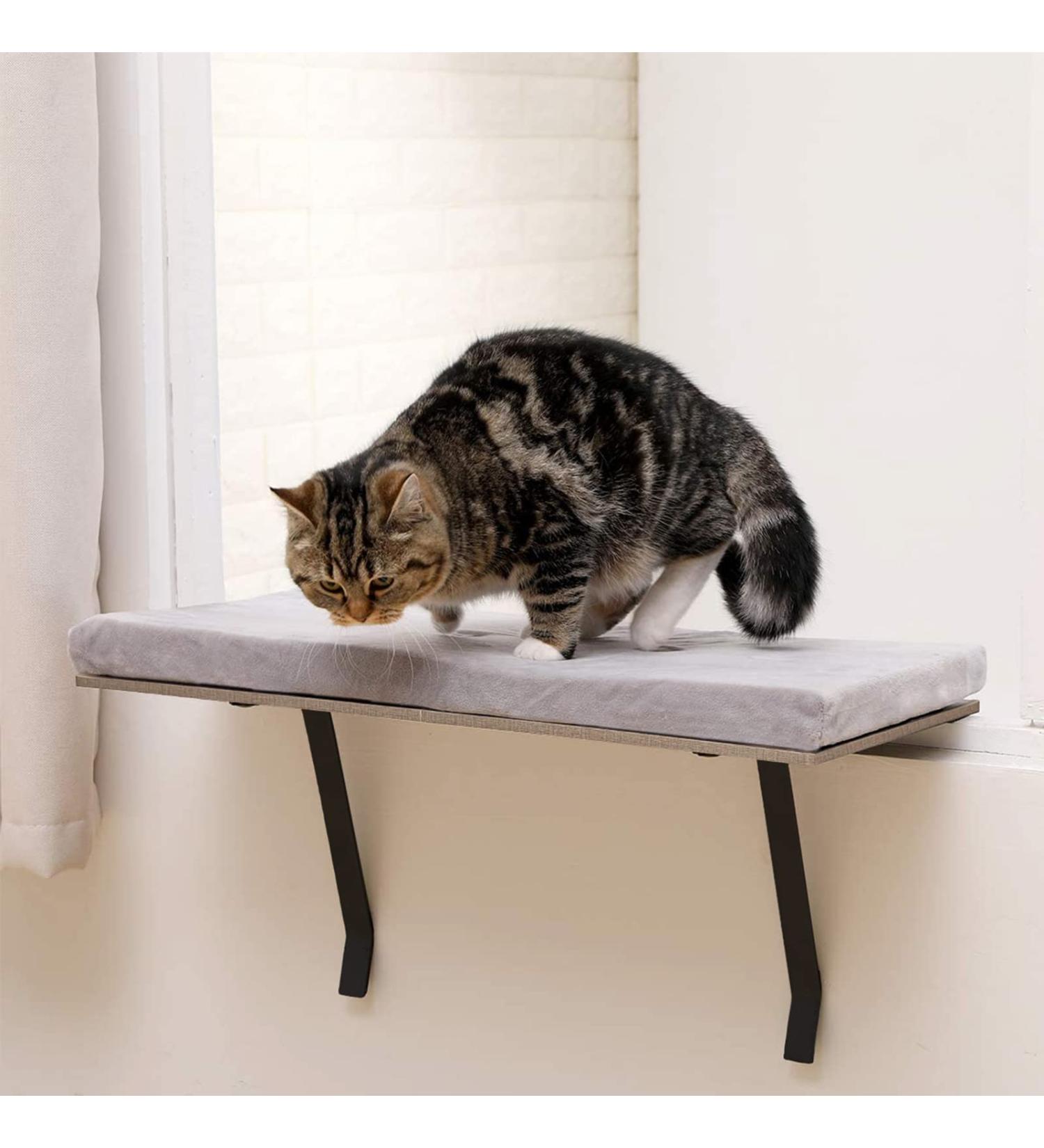 Sweetgo Cat Window Perch - Funny DIY Kitty Sill Bed - Mountable Grey Cat Seat Shelf - Washable Foam - Ideal for Cat's Funny Sleep - Buy Online on GoSupps.com
