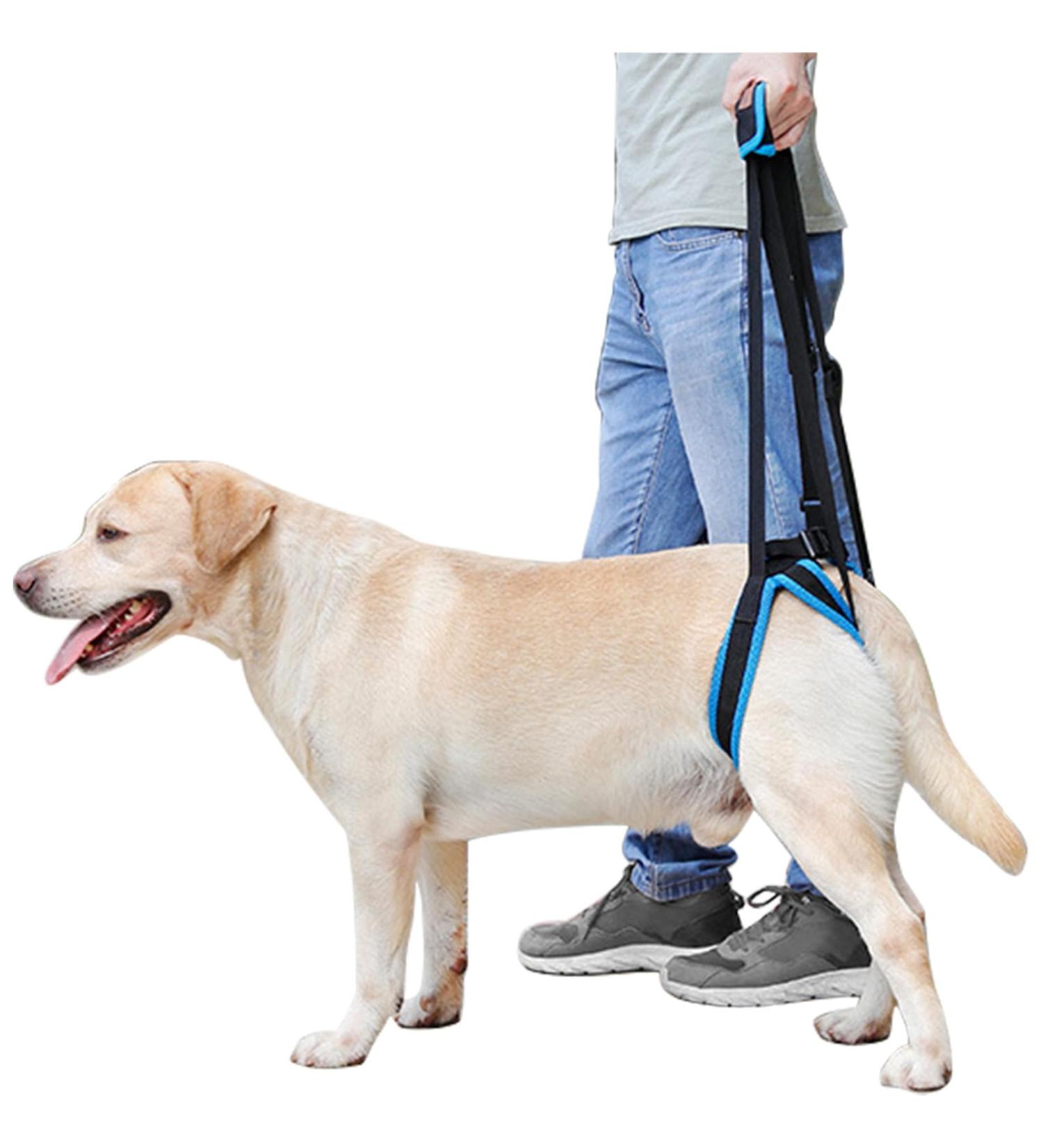 Mightyduty Portable Dog Hind Leg Support Harness | Help for Male & Female Dogs | International Shipping Available - Buy Online on GoSupps.com