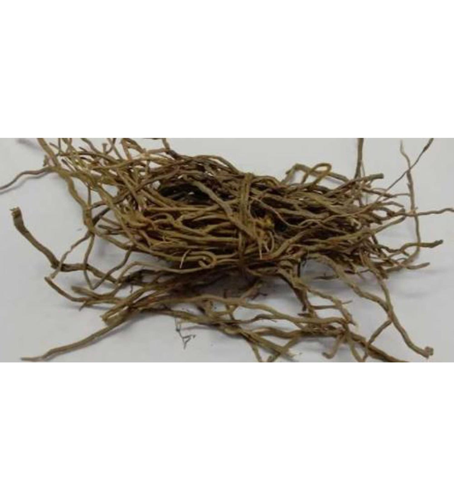 RAW HERBS/JADI BOOTI DRIED USHVA USHAVA USWA USHWA SMILAX MEDICA (100GM) - Buy Online on GoSupps.com