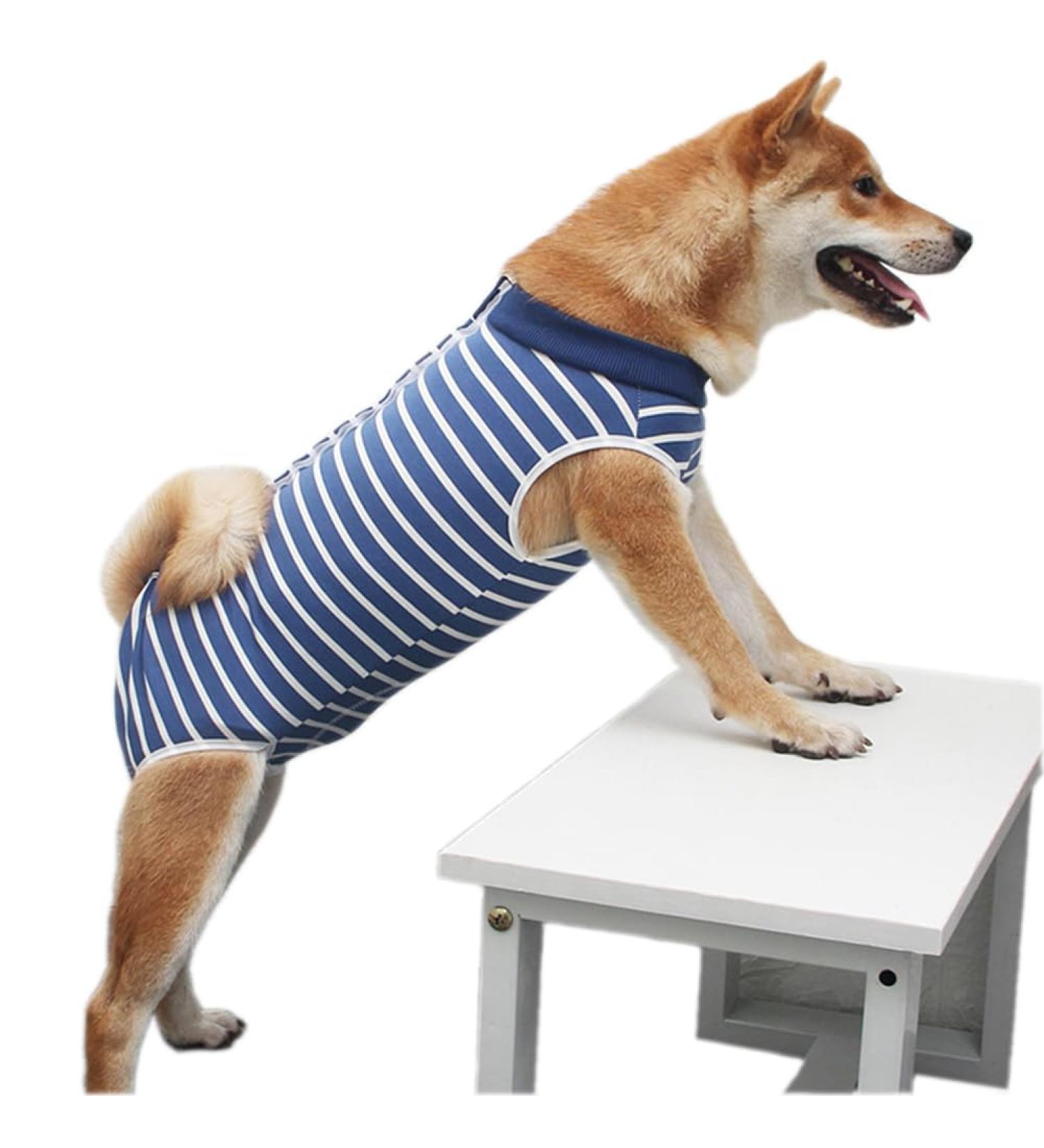 Dog Surgery Recovery Suit - Medical Pet Shirt for Cats & Dogs | After Surgery Onesie (M Stripe) - Buy Online on GoSupps.com