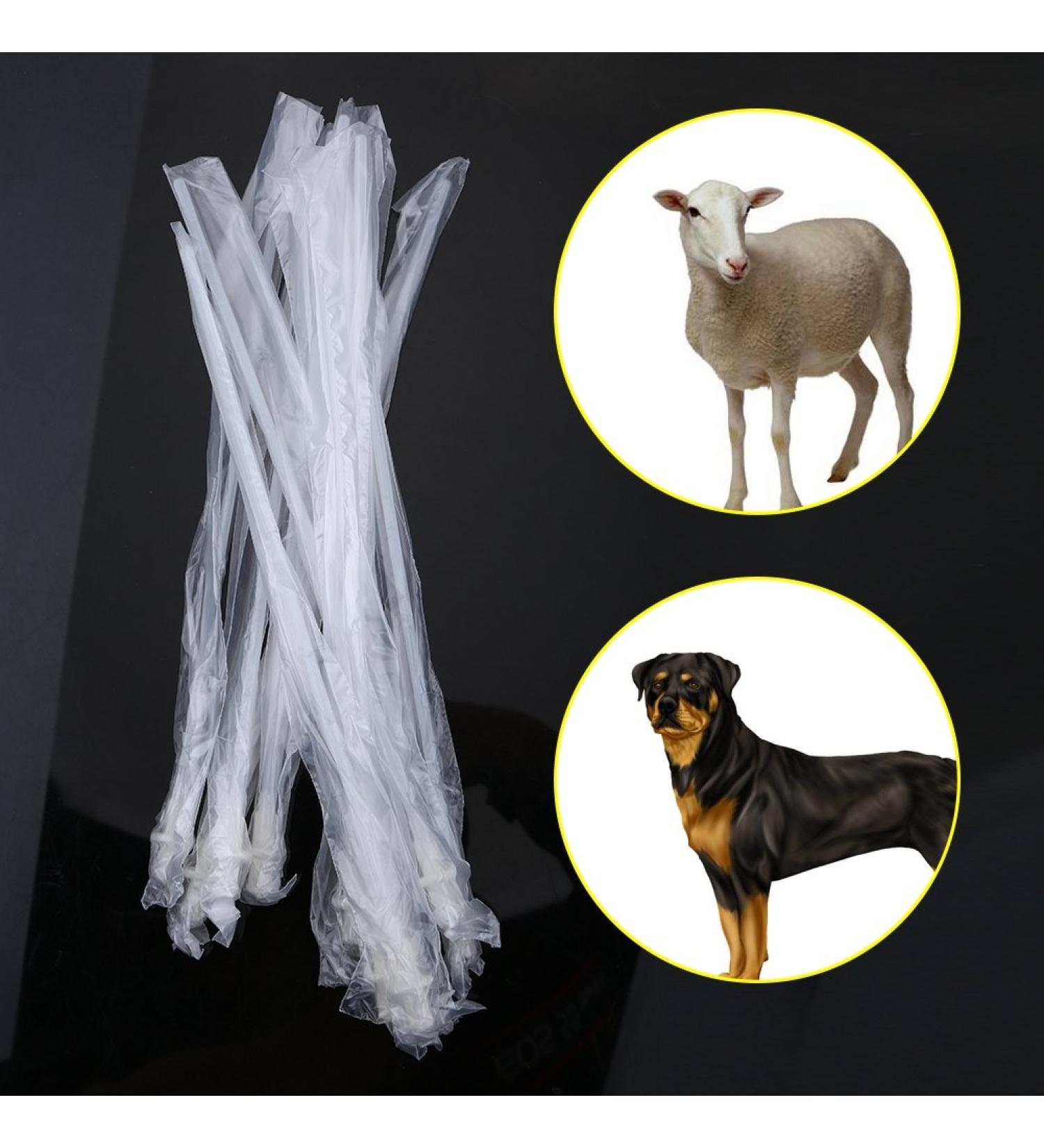 Ruiqas 10pcs Disposable Dog Catheter Tubes - Artificial Insemination Kit for Dogs | International Shipping Available - Buy Online on GoSupps.com