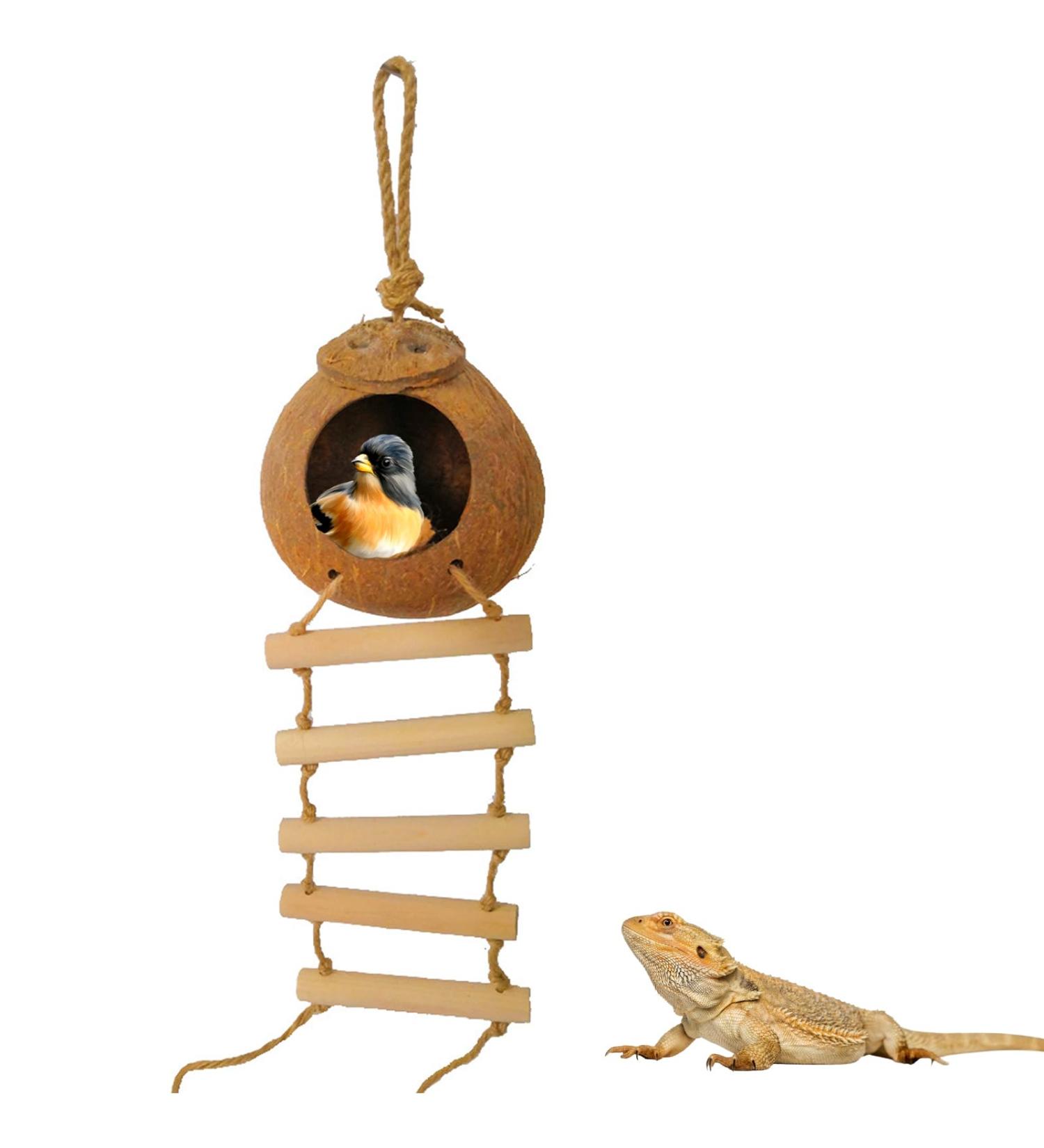 Aobuviou Gecko Coconut Husk Hut Coconut Bird Nest Reptile Coconut Hide with Ladder Natural Reptile Hideouts Bird Coconut Shell Coconut Hide for Reptiles Bird Small Animal - Buy Online on GoSupps.com