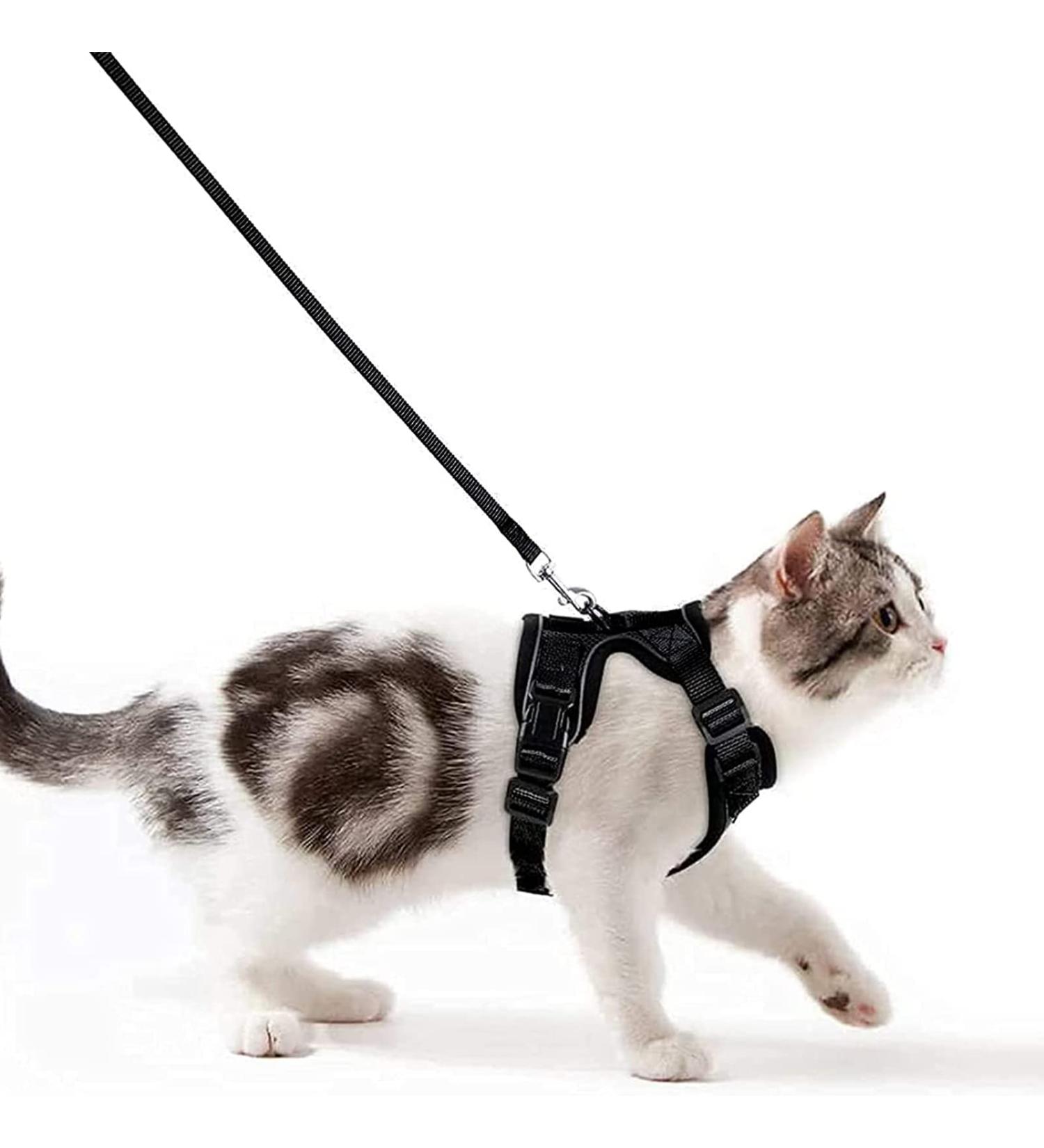 Adjustable Soft Kitten Vest with Reflective Stripes & Breakproof Cat Dishes Set - XXS Black Harness for Small Kittens - Buy Online on GoSupps.com
