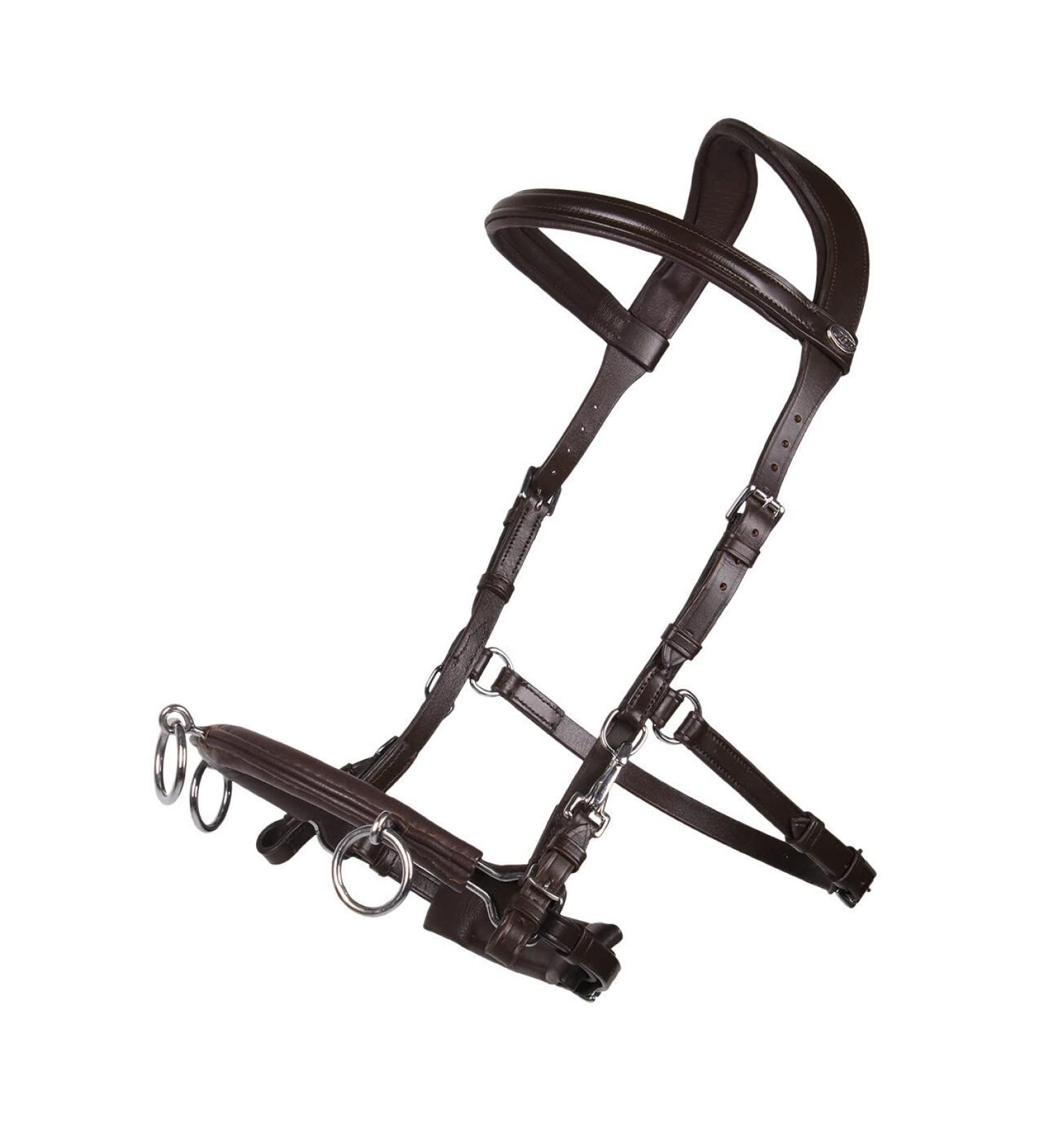 QHP Cavesson Leather - Size P Brown | Premium Quality Equestrian Gear for International Shipping - Buy Online on GoSupps.com