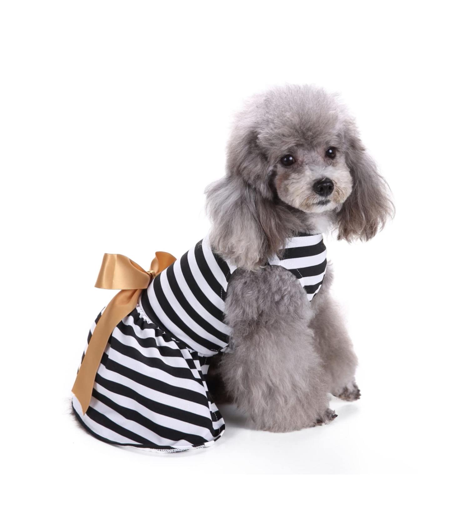 Elegant Petcute Dog Dress - Summer Tutu for Little Dogs with Bowknot & Flower Design | XS Black & White Stripes - Buy Online on GoSupps.com