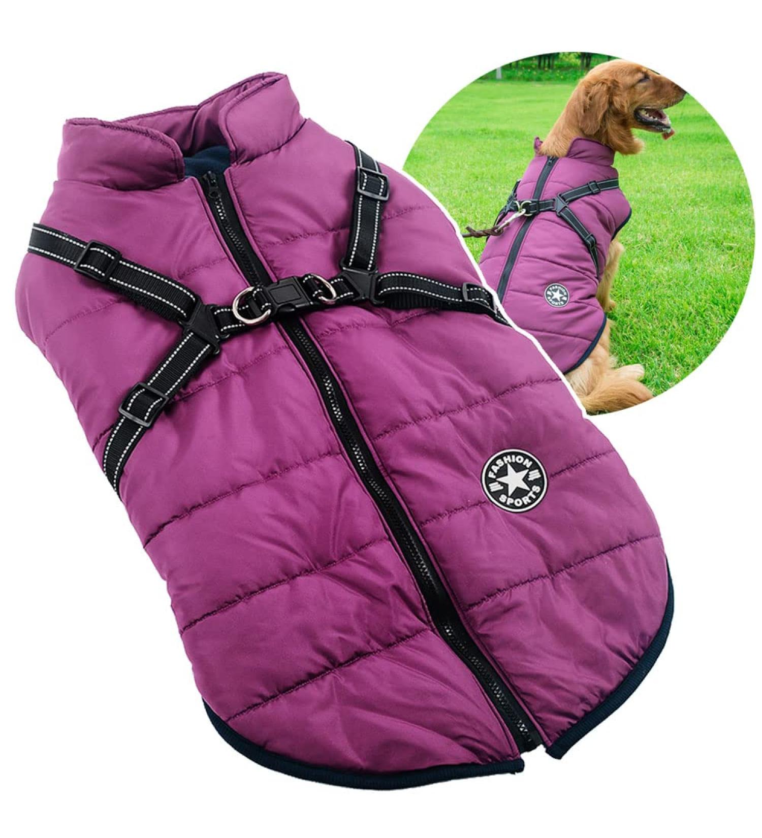 2-in-1 Large Dog Jacket & Harness - Outdoor Sport Vest for Big Dogs - Warm Winter Coat - 5XL Purple - Buy Online on GoSupps.com