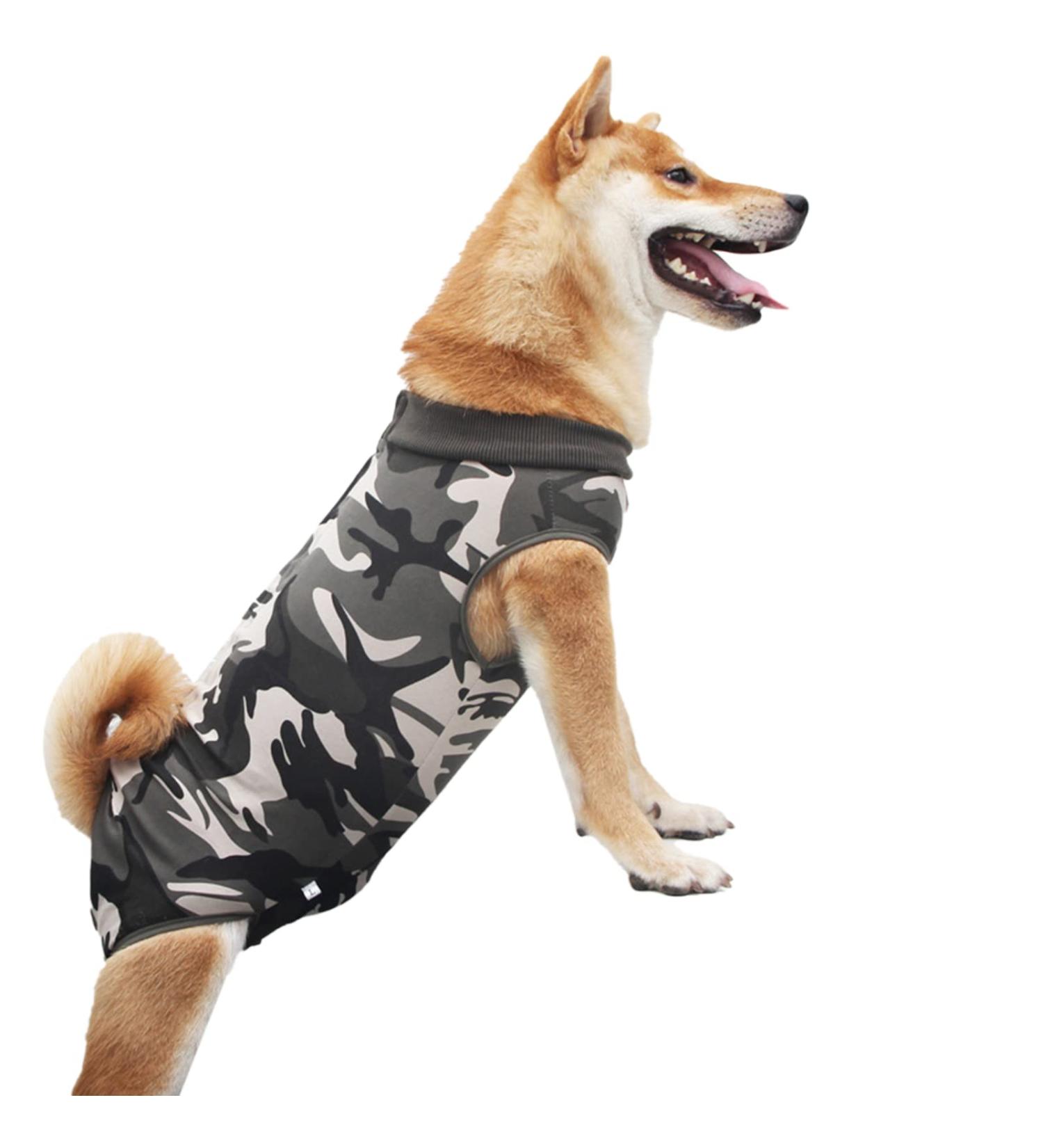 Petyoung Dog Recovery Suit - Camouflage Vest for Small & Medium Dogs | After Surgery Wound Prevention - Buy Online on GoSupps.com