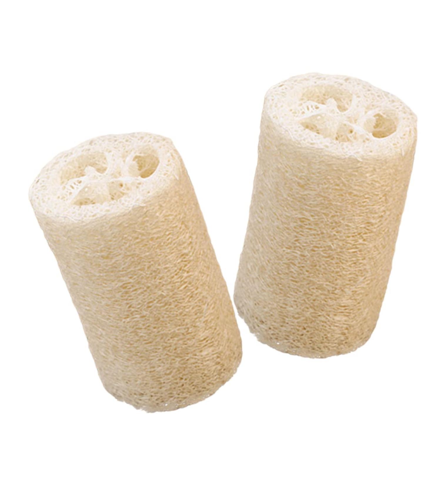 Buy NOLITOY 2pcs Loofah Body Wash Shower Mesh Scrubber - Perfect for a Refreshing Clean | International Shipping Available - Buy Online on GoSupps.com
