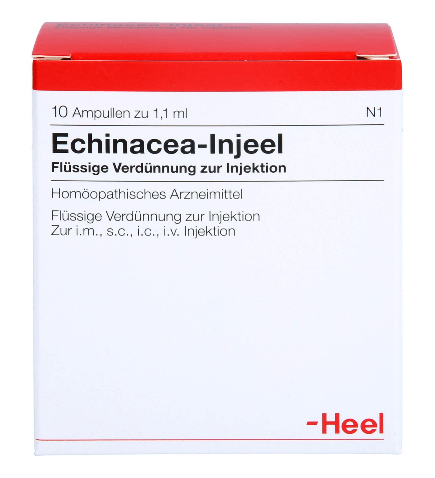 Buy Echinacea Injeel Ampoules - 10 Hours | Boost Immunity & Wellness | International Shipping - Buy Online on GoSupps.com