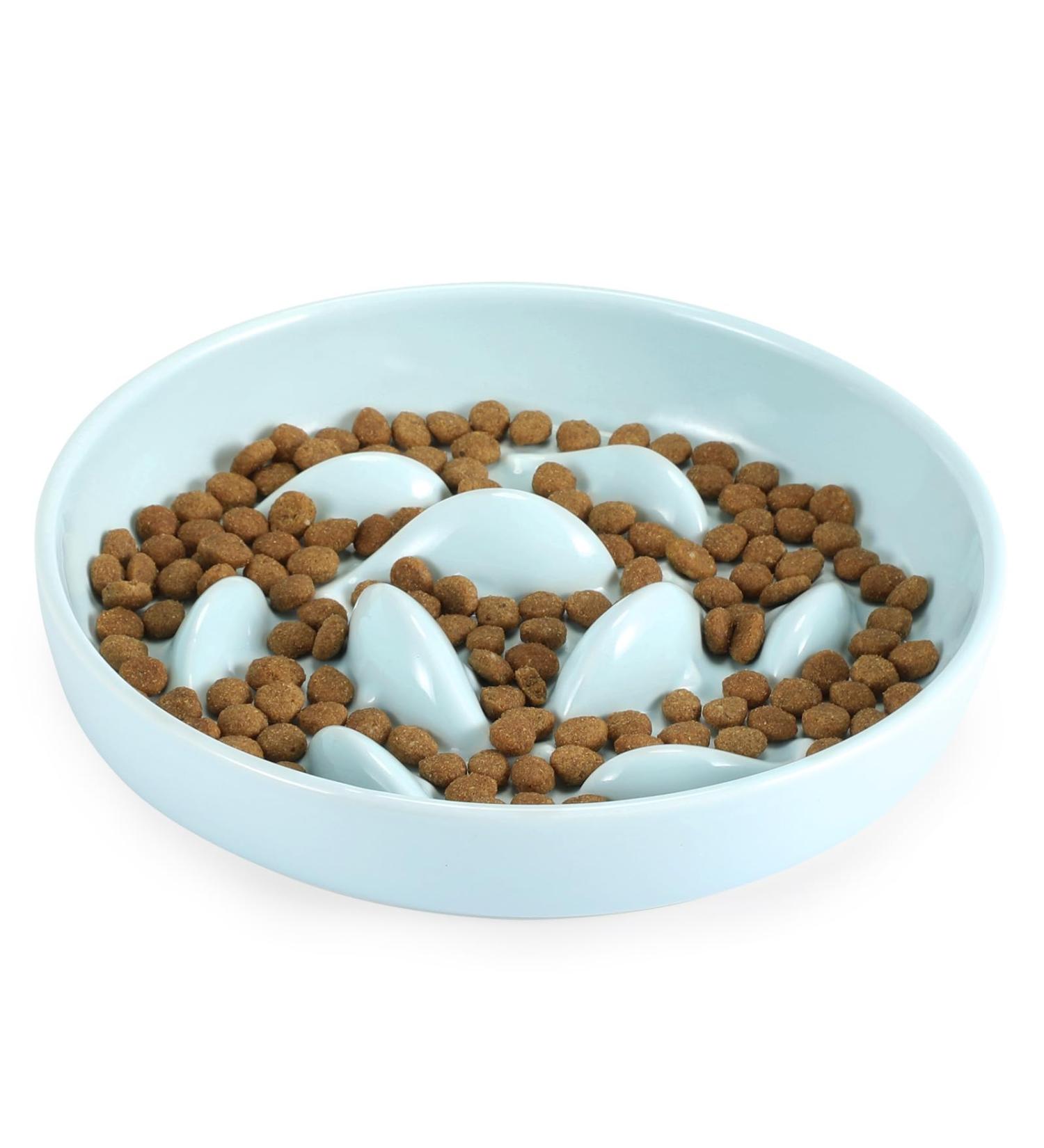 IDOGCHEW Ceramic Cat Slow Feeder Bowl - Anti-Gulping Puzzle Feeder for Healthy Eating - Non-Slip, Spill Proof - Green - Buy Online on GoSupps.com