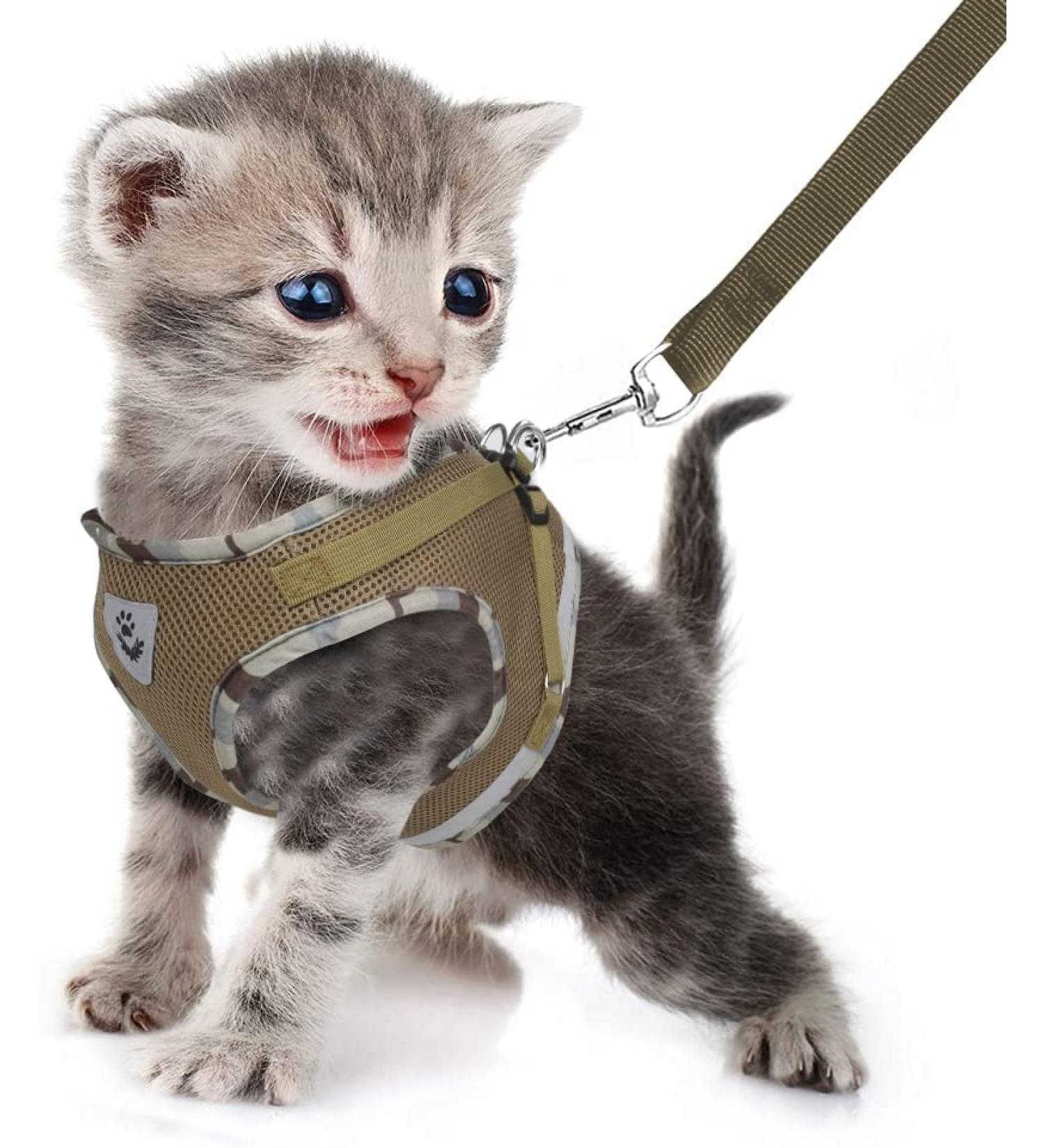 Buy Femax Dog Harness & Linen Set - Soft Mesh Padded Dishes for Puppies & Cats | Reflective Adjustable Breathable | XS Camouflage Brown - Ideal for Walking Running Training - Buy Online on GoSupps.com