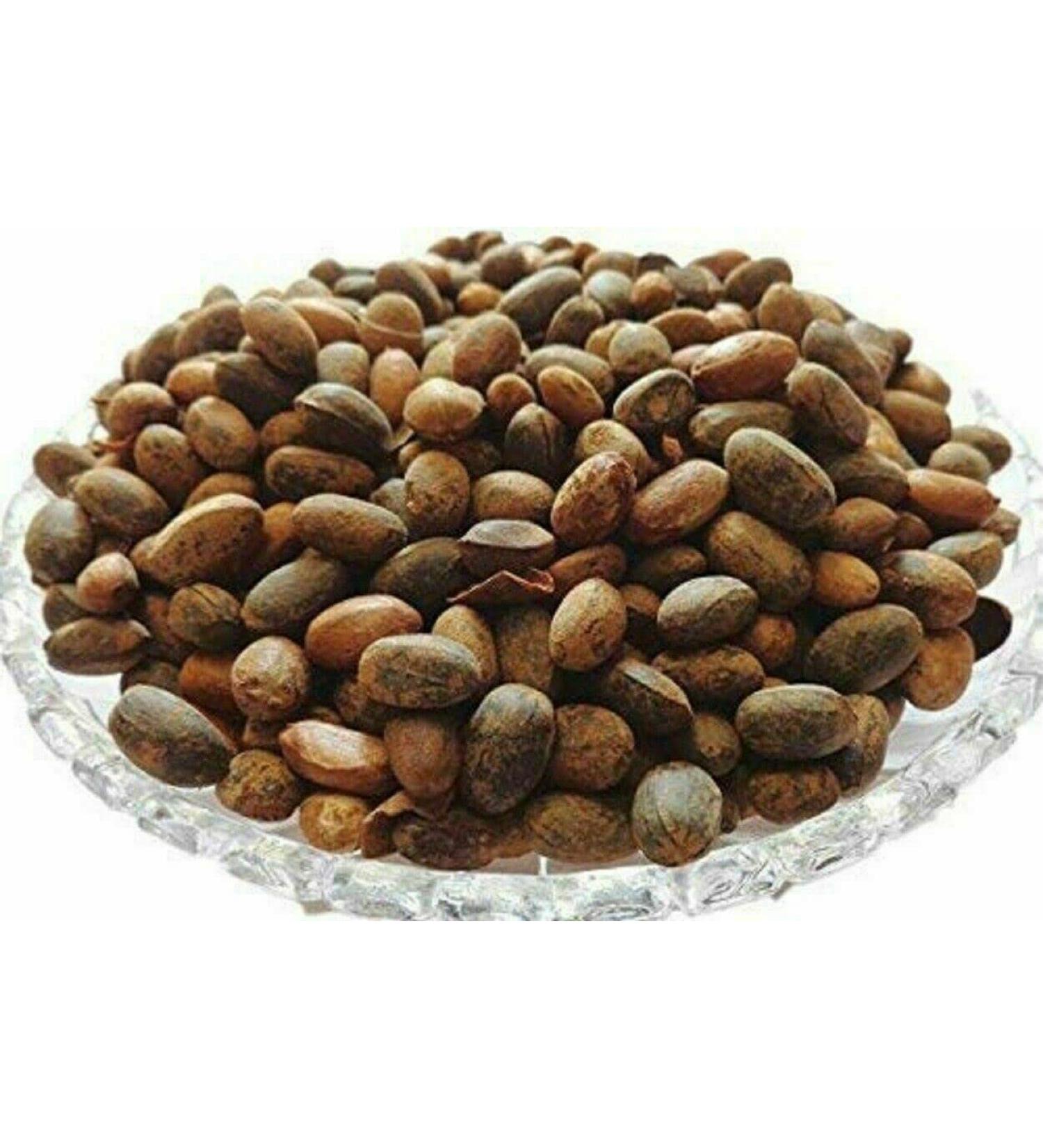 Jamalgota/Croton Tiglium/Jayaphala/Jamalghota/Nepala/Nervalam/Purging Croton/Japalbij/Japolota/Narchalam/Nepalamu/ - by pharmacylife (100GM)