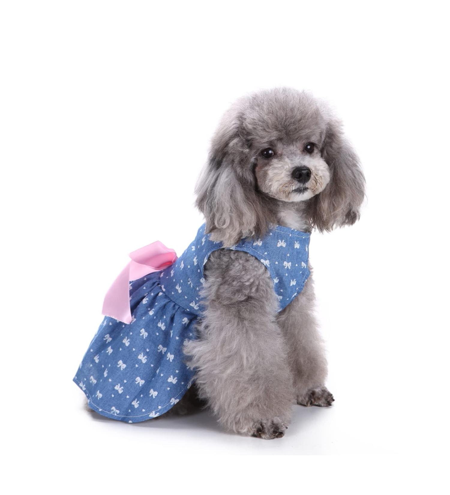 Petcute Elegant Bowknot Dog Dress - Summer Puppy Tutu with Beautiful Flower Design | XS Blue Dog Princess Clothing for Weddings & Special Occasions - Buy Online on GoSupps.com
