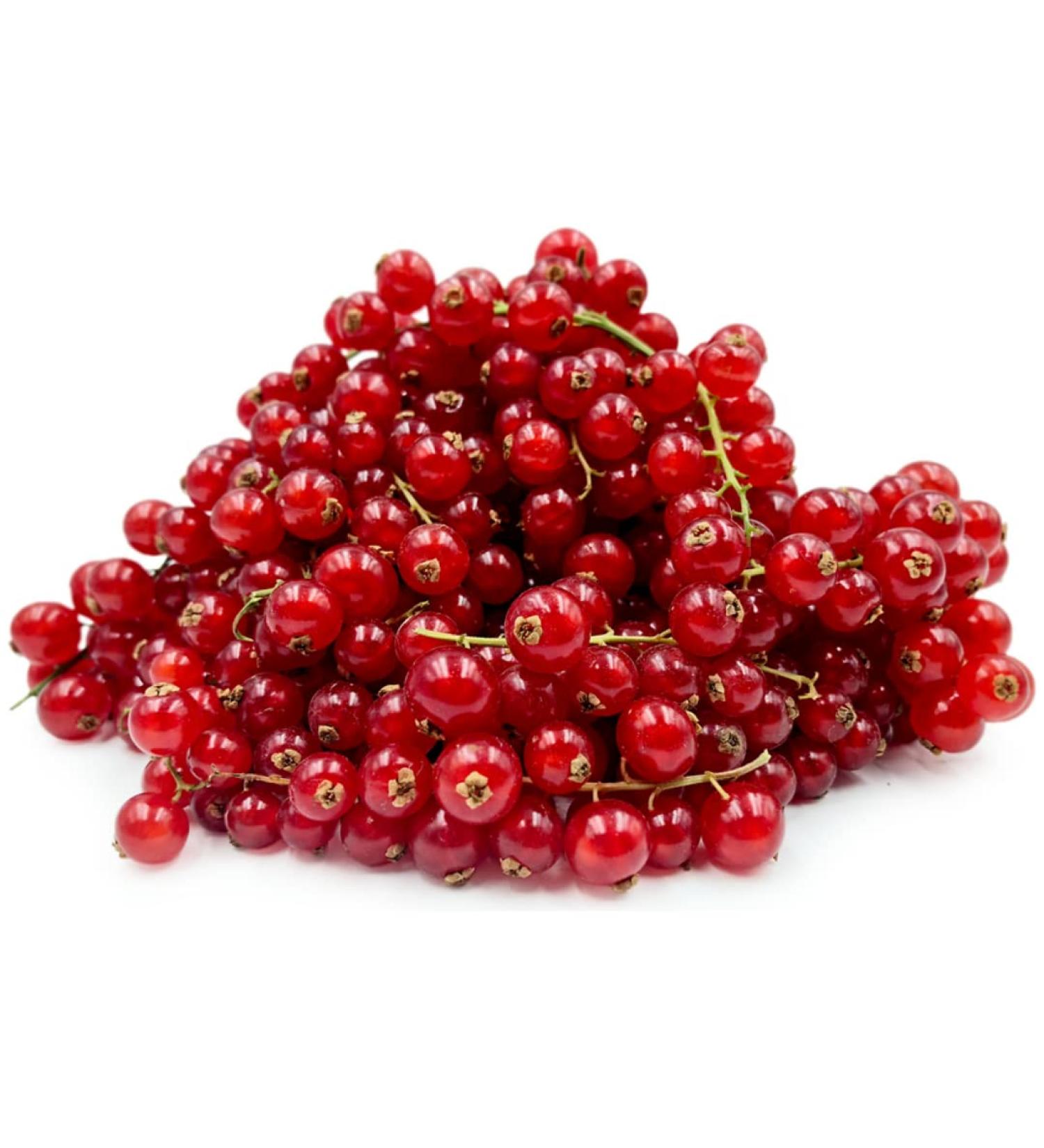 Red Currant Berries 125g x 12 Units