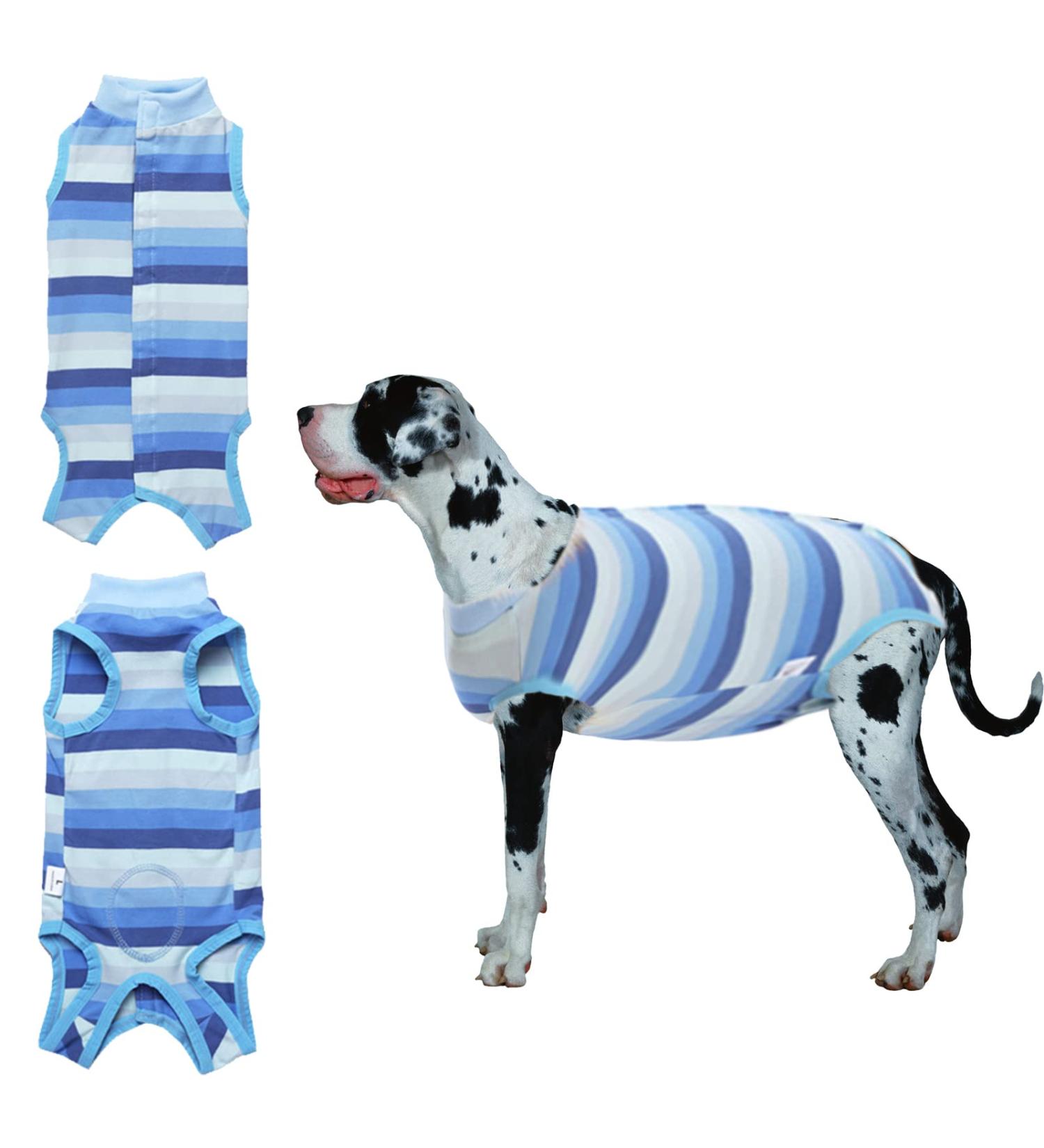 Jodsen Dog Recovery Suit for Dogs and Cats Dog Pajamas Breathable Dog Night Clothes Wound Protection Suits for Puppies Collar After Surgery Prevent Licking Biting (Blue-L) - Buy Online on GoSupps.com