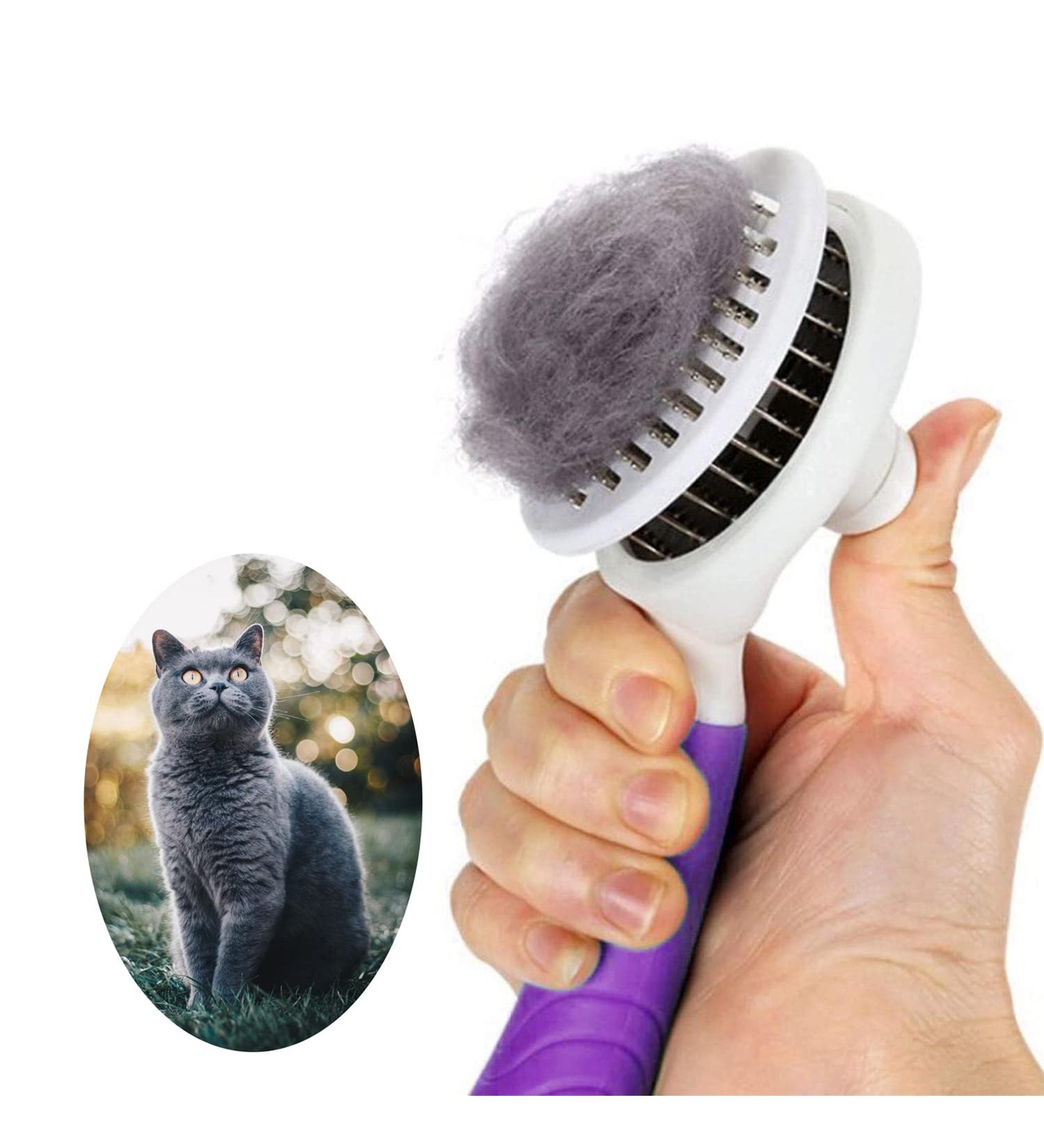 Self Cleaning Cat Grooming Brush - Removes Undercoat, Mats, Tangled Hair - Pet Massage Tool (Purple) - Buy Online on GoSupps.com