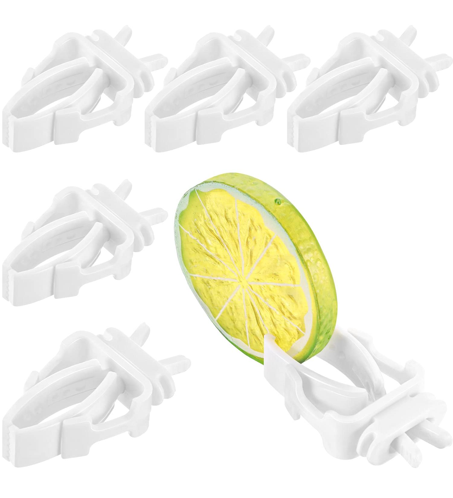 Bird Cage Food Holder Clips for Parrot, Budgie, Cockatoo - Set of 6 | Feeder Clip for Fruit, Vegetable, and Seed Treats - Ideal for Macaw, Cockatiel, Conure - Buy Online on GoSupps.com