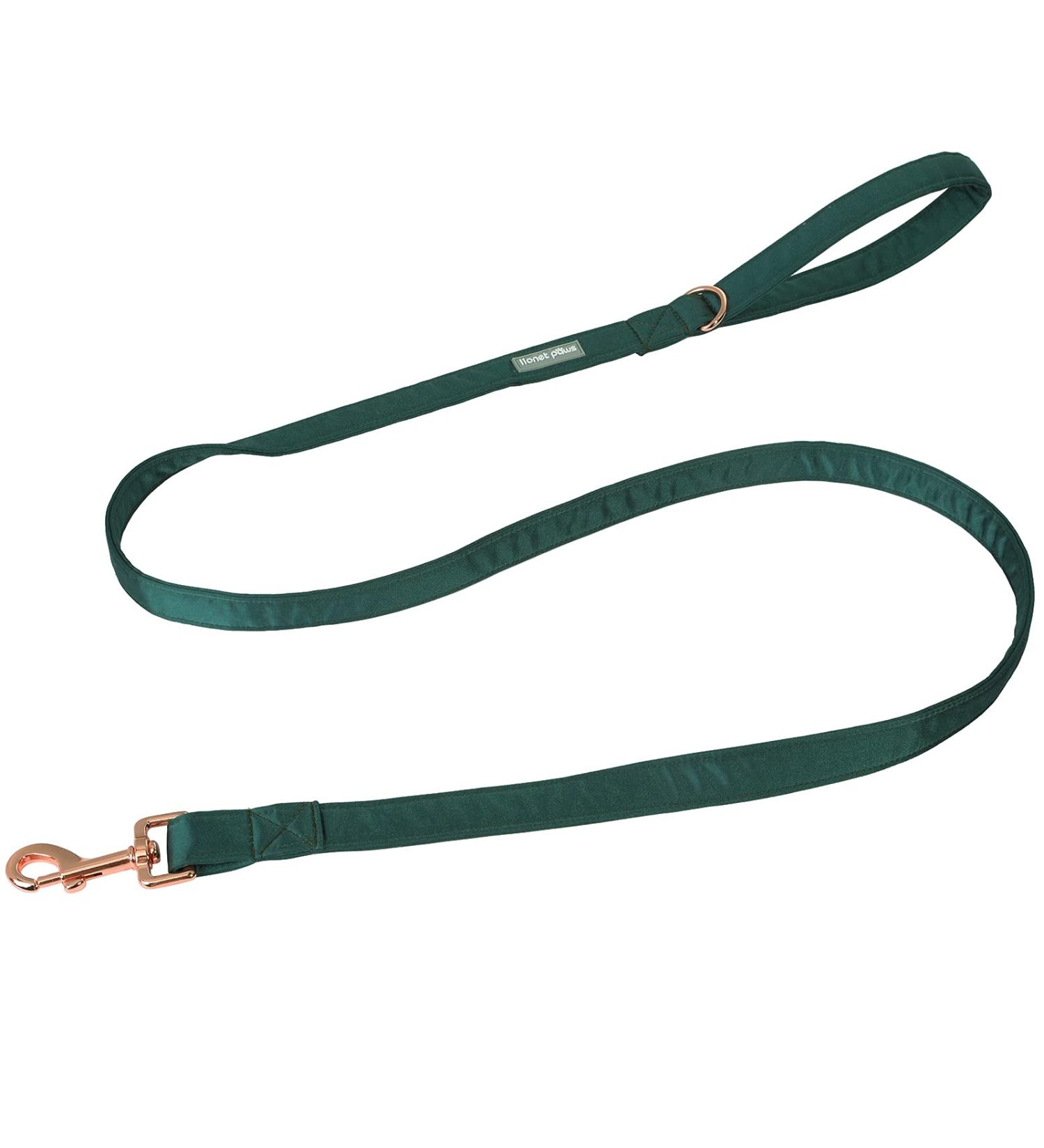 Lionet Paws Dog Leash - Premium Silk Leash for Small Medium & Large Dogs - Matching Collars for Boys & Girls - Green (Pack of 1) - International Shipping Available - Buy Online on GoSupps.com