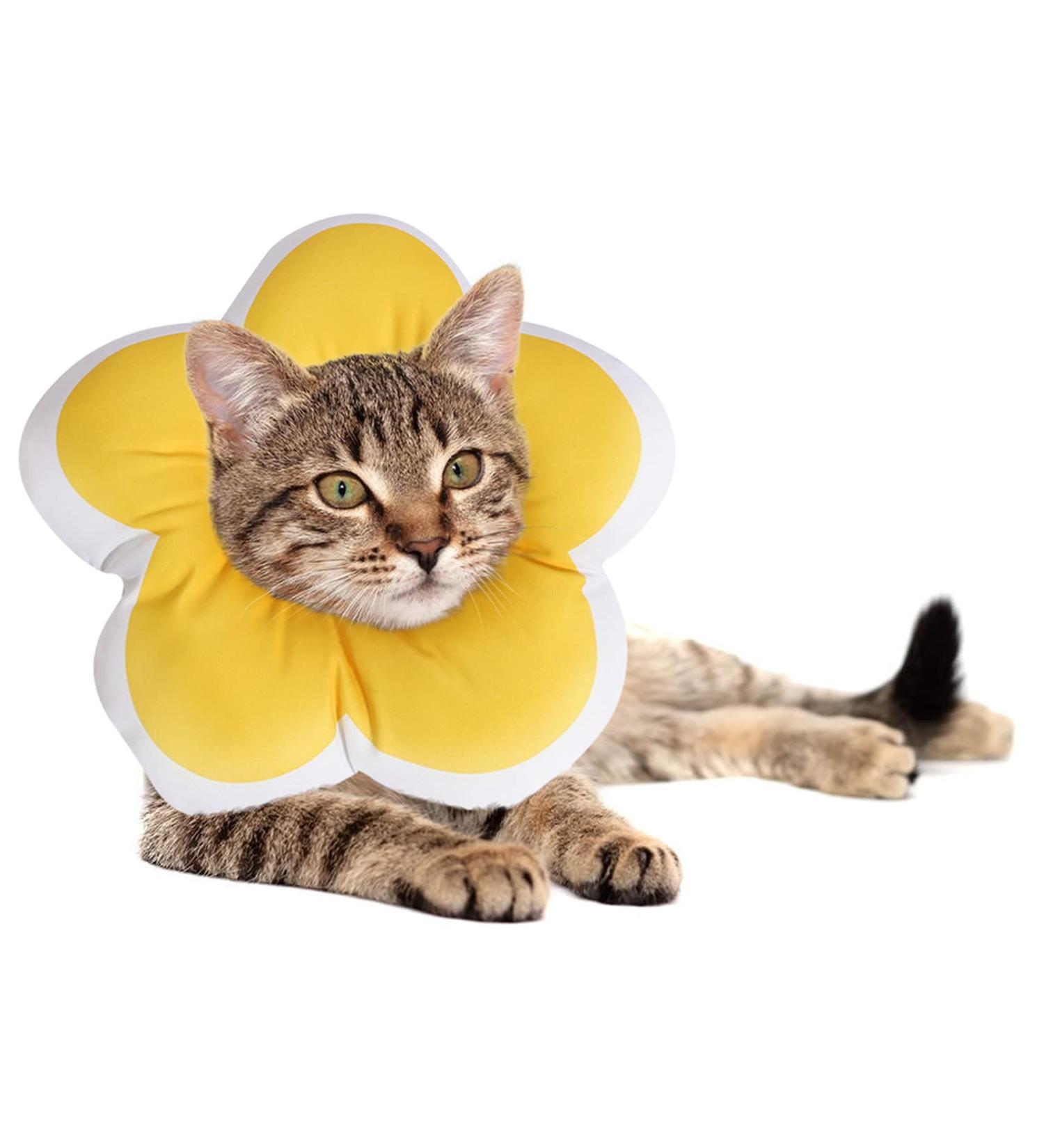 Soft Flower Cat Recovery Collar - Adjustable Anti-Bite Cone for Cat & Kitten - Breathable Waterproof E-Collar - Yellow - Buy Online on GoSupps.com