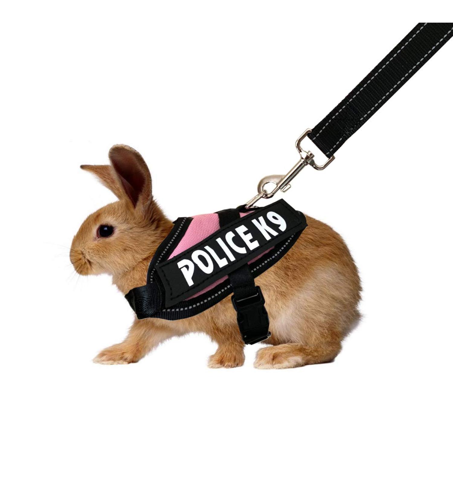 Vehomy Pink Rabbit Harness & Leash for Rabbits Cats & Small Animals - Ideal for International Shipping - Buy Online on GoSupps.com