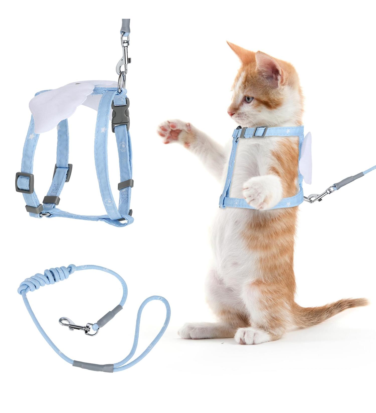 Adjustable Tiesome Cat Dishes with Leash & Collar Set - Color Gradient Kitten Dishes for Outdoor Walks (Blue) | International Shipping Available - Buy Online on GoSupps.com