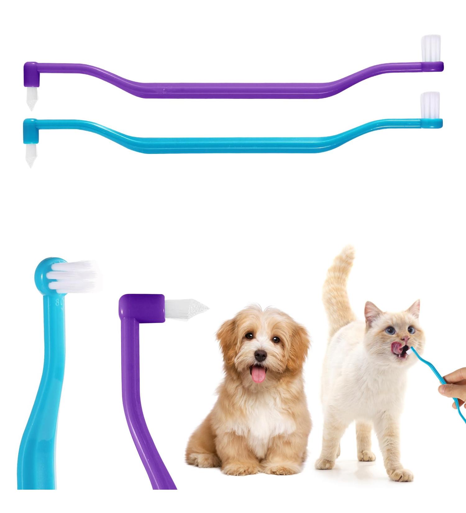 2-Piece Cat Toothbrush Set - Double-Sided Cleaning Brush for Kittens & Cats | Microbe Brush Head & Curved Handle | Deep Cleaning Accessories (Blue Purple) - Buy Online on GoSupps.com