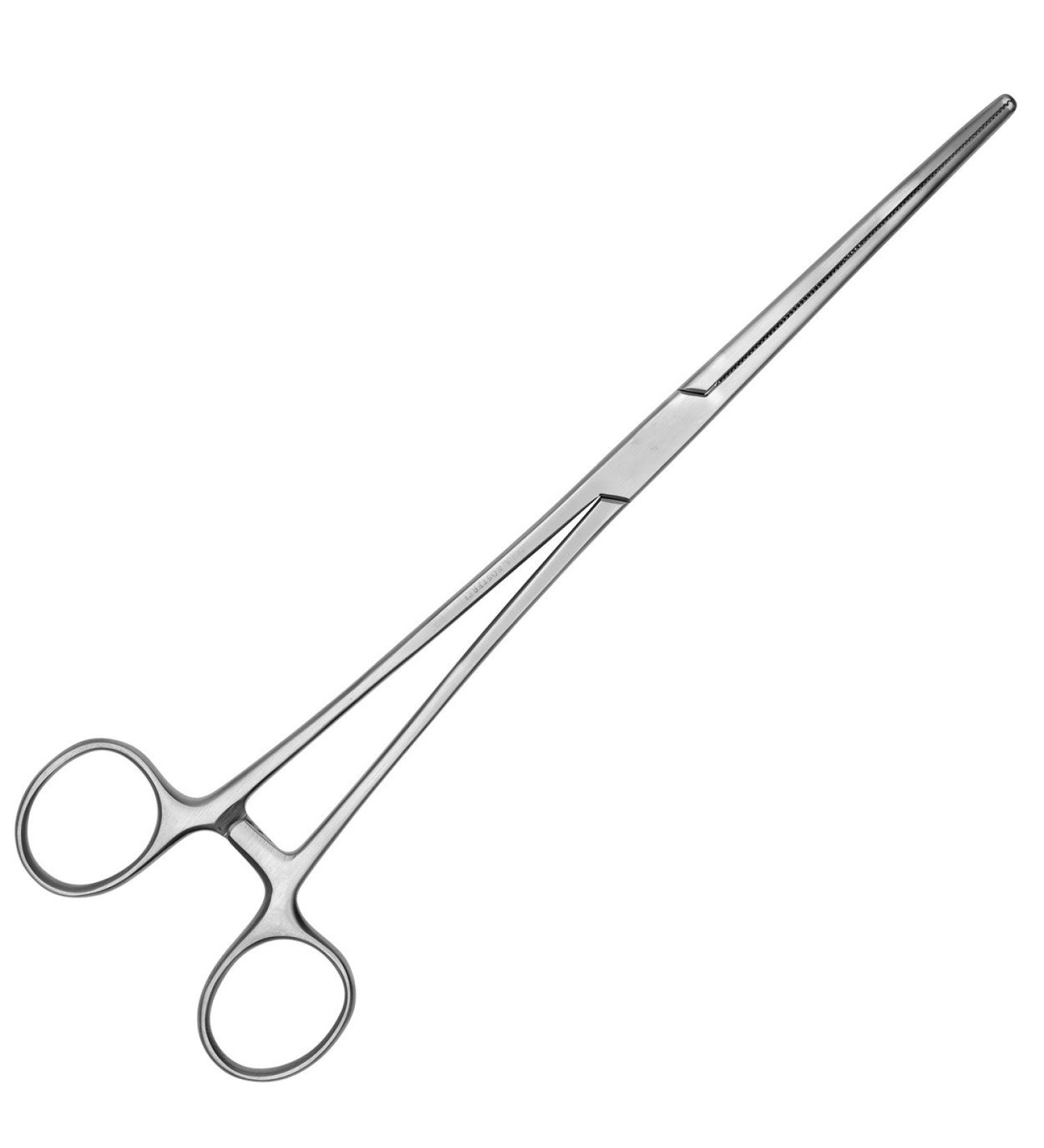 Buy May Long Clamp - 25 cm Serrated & Curved Tip Stainless Steel International Shipping Available - Buy Online on GoSupps.com