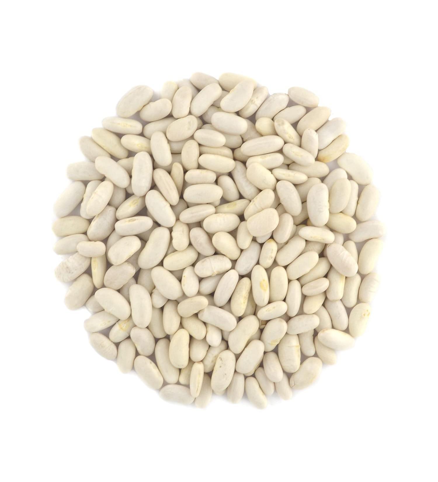Organic Great Northern Beans  Raw  non GMO  Vegan  Bulk (10LB) Organic Great Northern Bean 10 Pound - Buy Online on GoSupps.com