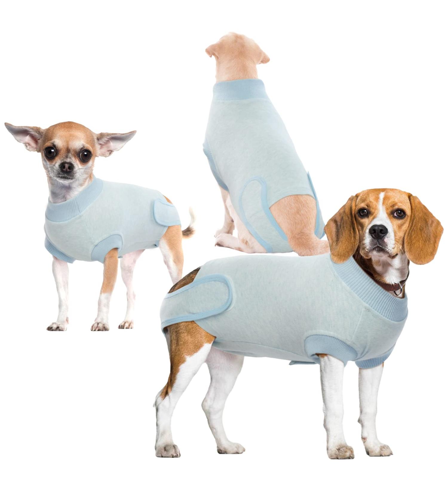Hjumarayan Dog Body for Post-Op Bitches - Breathable Castration Suit for Small to Large Dogs - Sky Blue - Buy Online on GoSupps.com