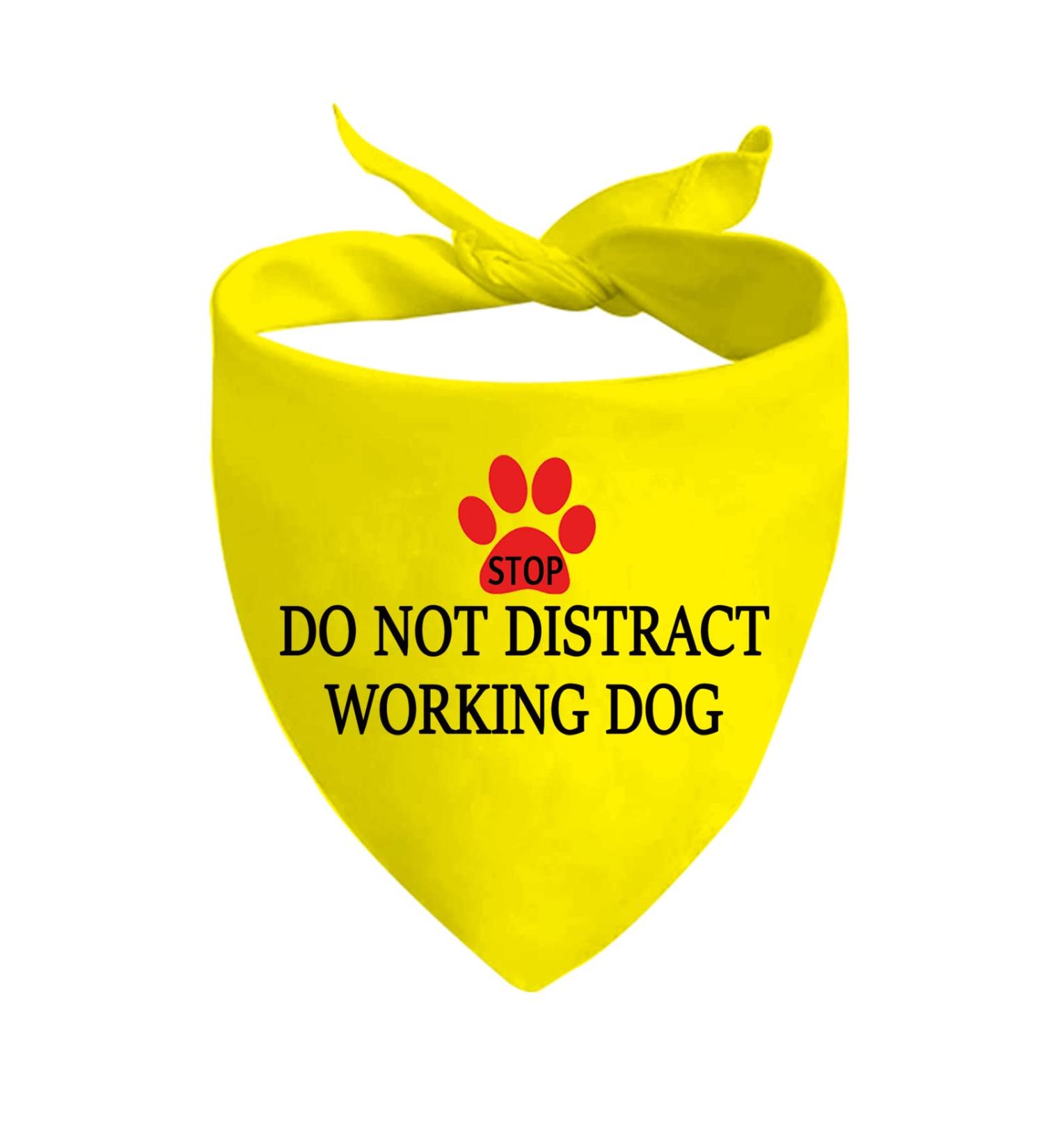 Stop Dot Not Pet Dog Bandana - No Touch No Talk No Distract - International Shipping - Buy Online on GoSupps.com