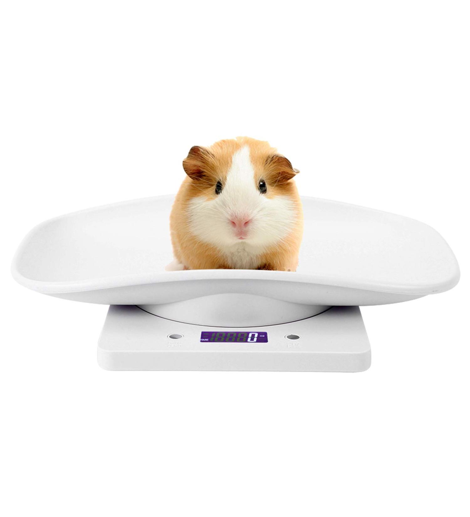 10kg/1g Digital Pet Scale with 3 Weighing Modes Pet Scale to Measure Dog Multi-Function Baby Scale for Weighing Small Pet - Buy Online on GoSupps.com