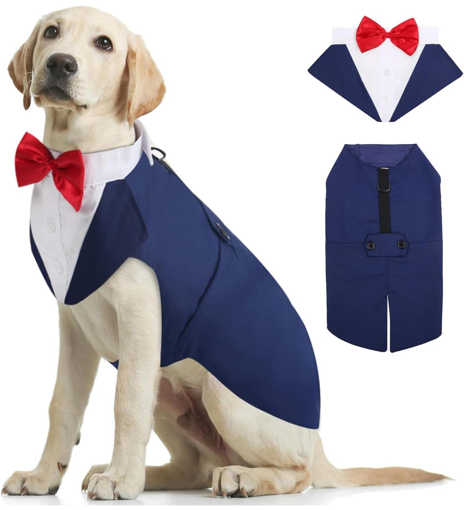 Kuoser Dog Smoking Suit & Bandana Set - Stylish Pet Formal Clothes for Weddings Halloween & Parties | S-XXL | 60cm Blue - Buy Online on GoSupps.com