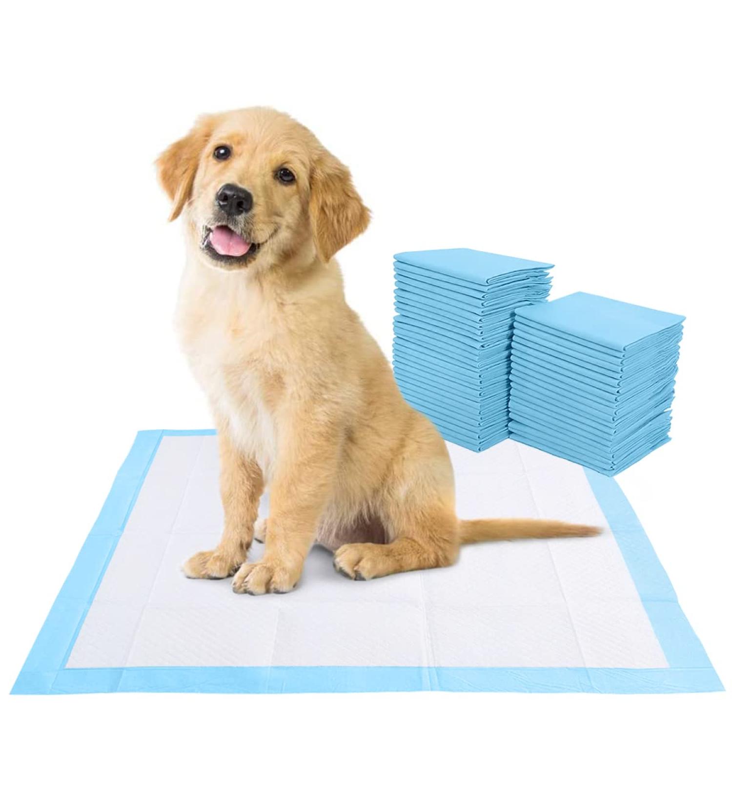 BACTIM Puppy Pads Pack of 50 Super Absorbent Disposable Dog and Puppy Training Pads (60 x 45cm) Multi Layered Leakproof Odour Locking Toilet Trainer Pee Mat for Small to Large Size Pet Incontinence - Buy Online on GoSupps.com