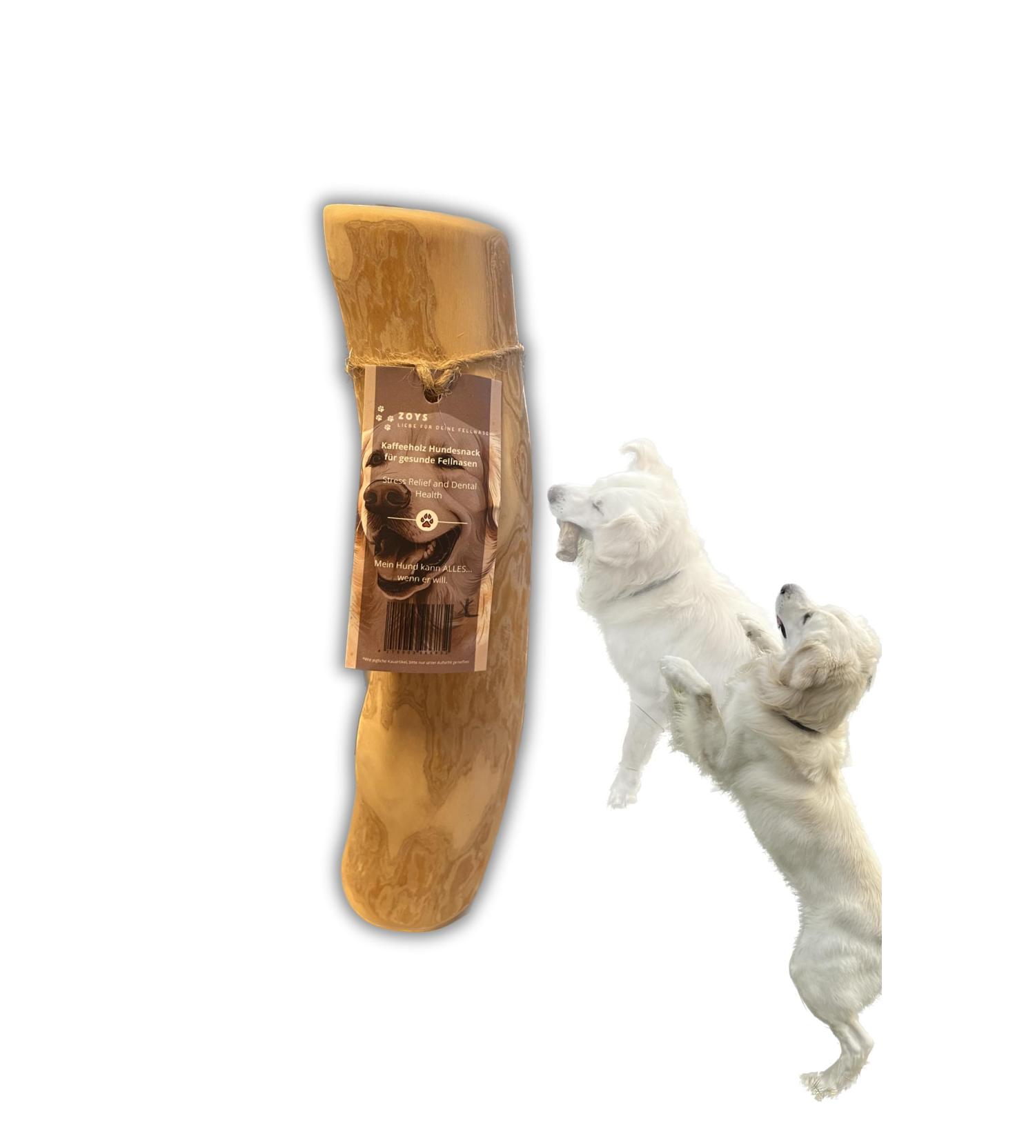 Zoyys XL Coffee Wood Chewing Bones for Dogs - Natural Dental Care & Sustainable Employment - Durable Low-Raw Dog Accessories - Buy Online on GoSupps.com