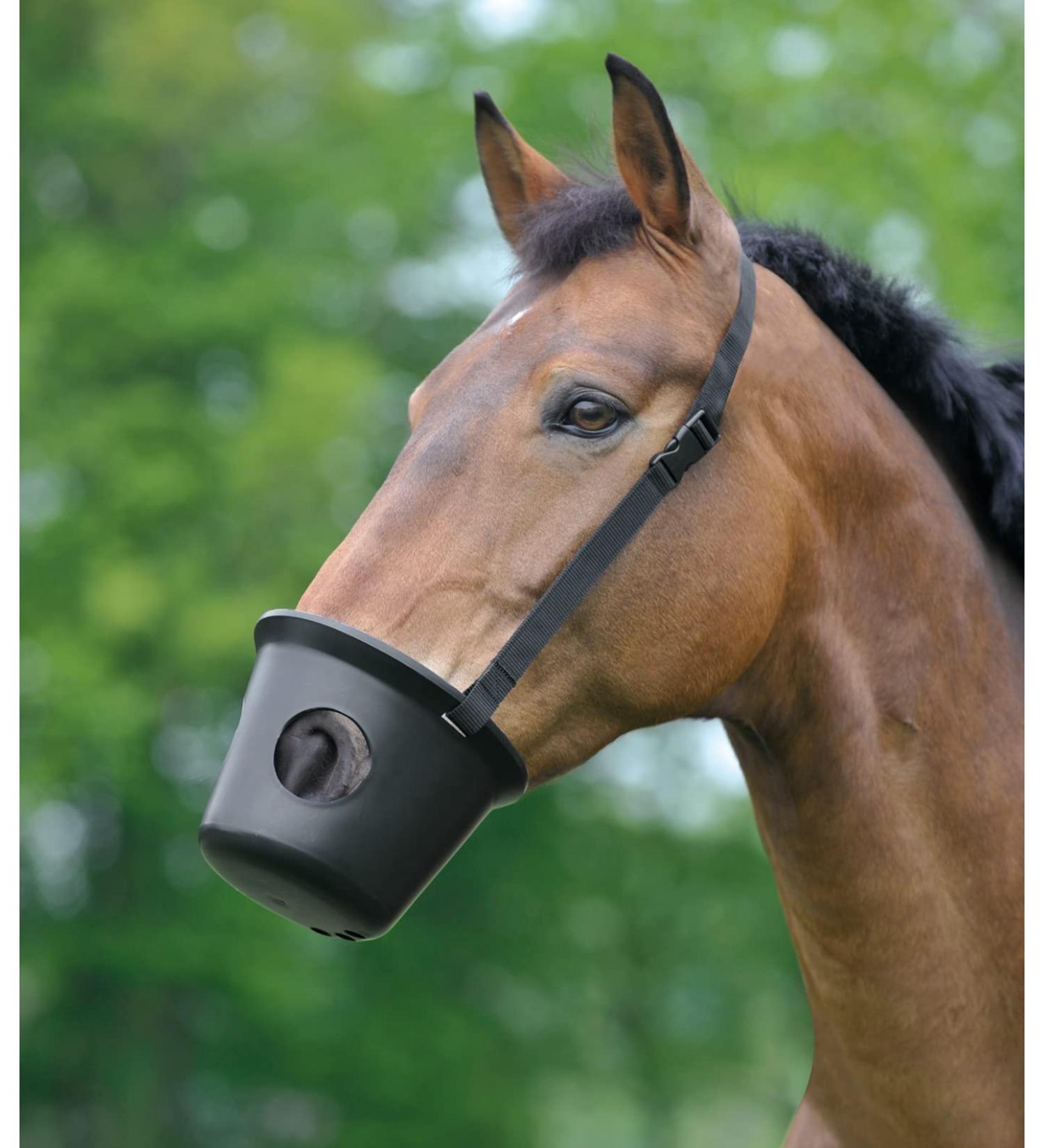 Waldhausen muzzle WB black