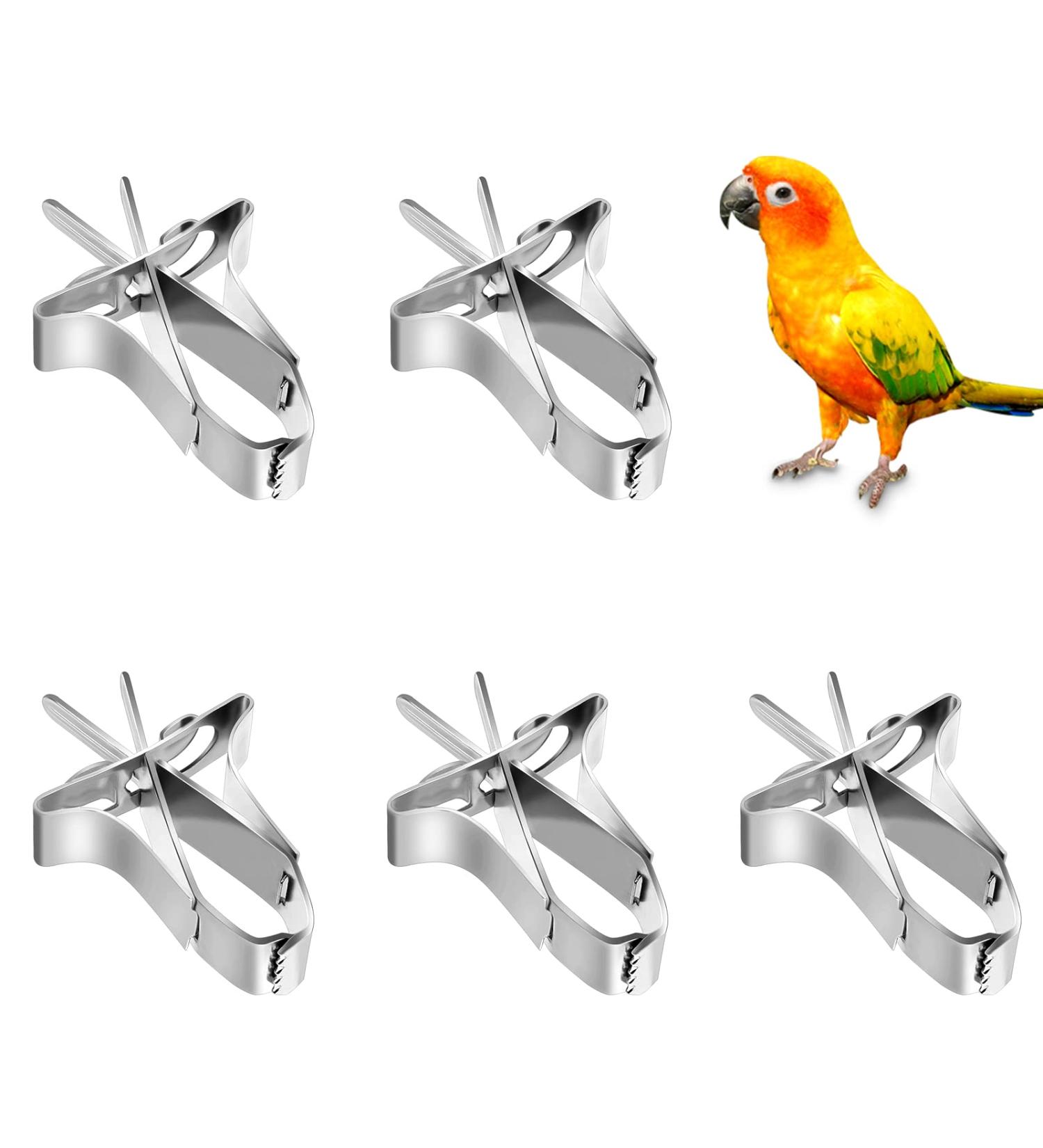 5-Piece Parrot Food Feeder Clips - Metal Vegetable Holder & Fruit Accessories for Bird Cages - Buy Online on GoSupps.com