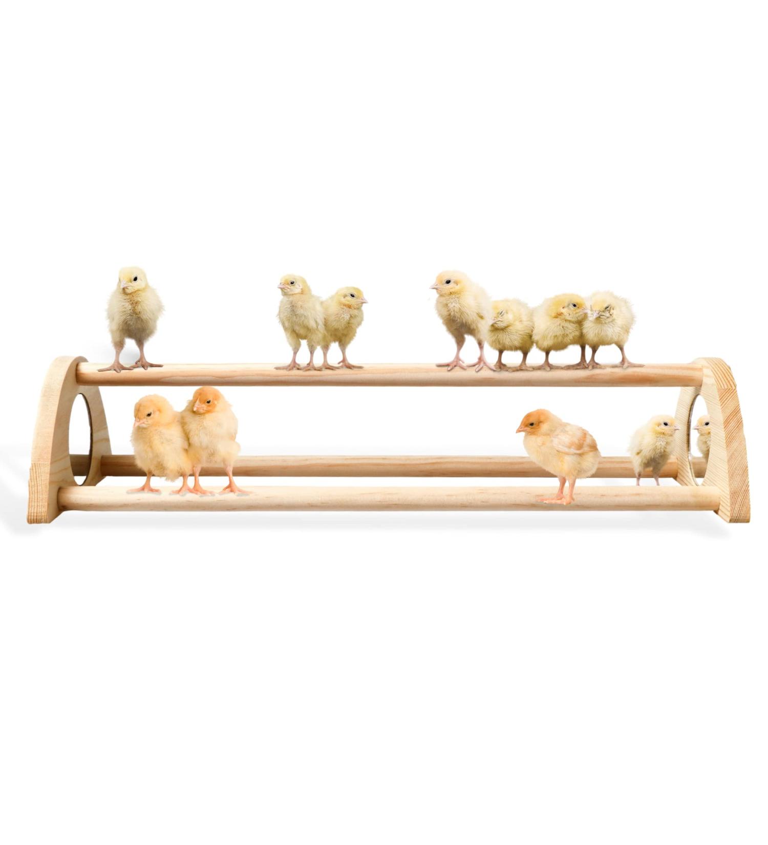 TonGass 16 Extra Long Chicken Perch with Built-in Mirrors - Durable Bamboo Roosting Bar for Baby Chicks - 15 3/4 x 6 5/8 x 3 1/2 - Buy Online on GoSupps.com