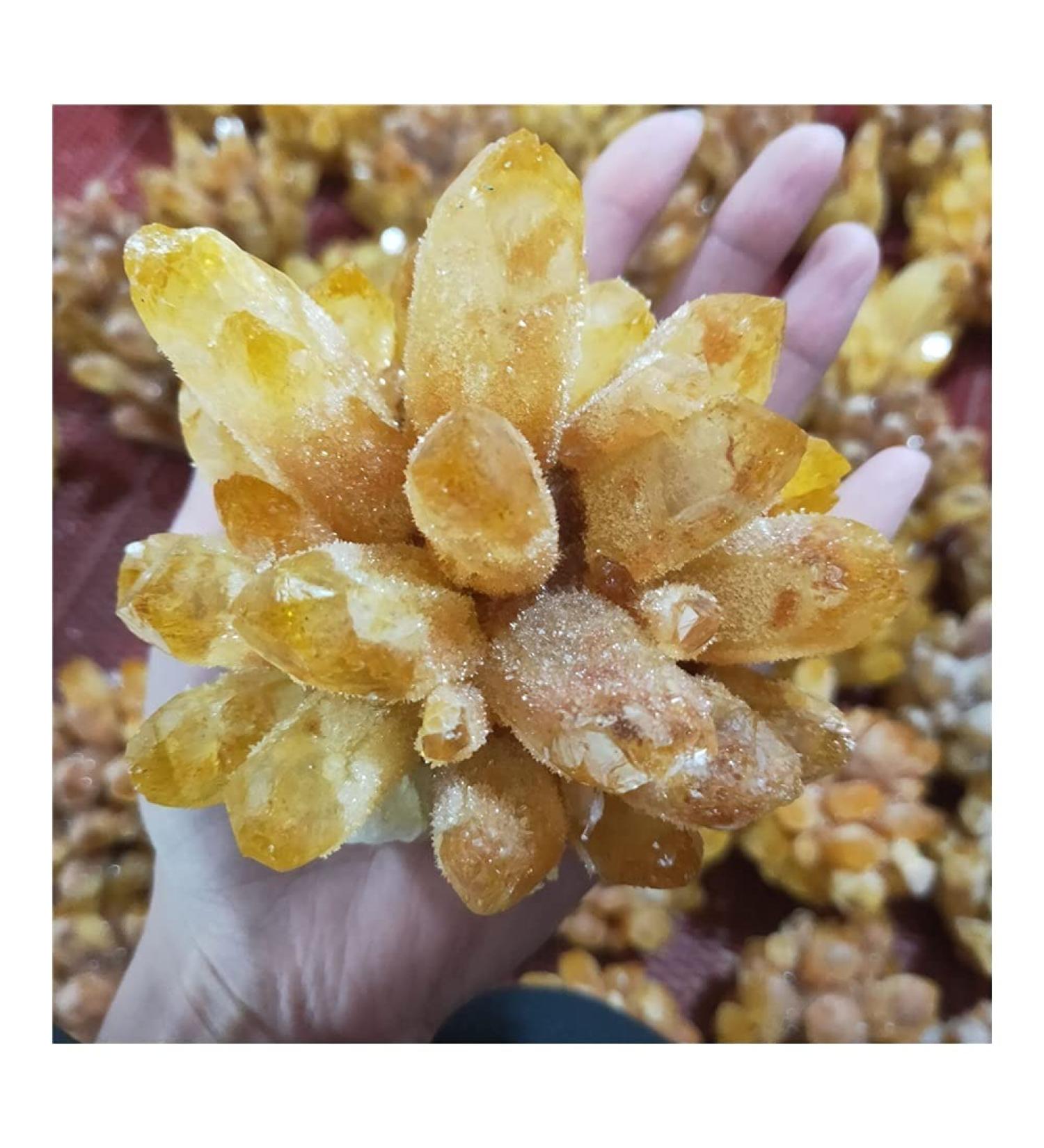 Natural Crystal Rough Stone Crafts Natural Citrine Phantom Quartz Crystal Cluster Specimen (Size : 500-600g) - Buy Online on GoSupps.com