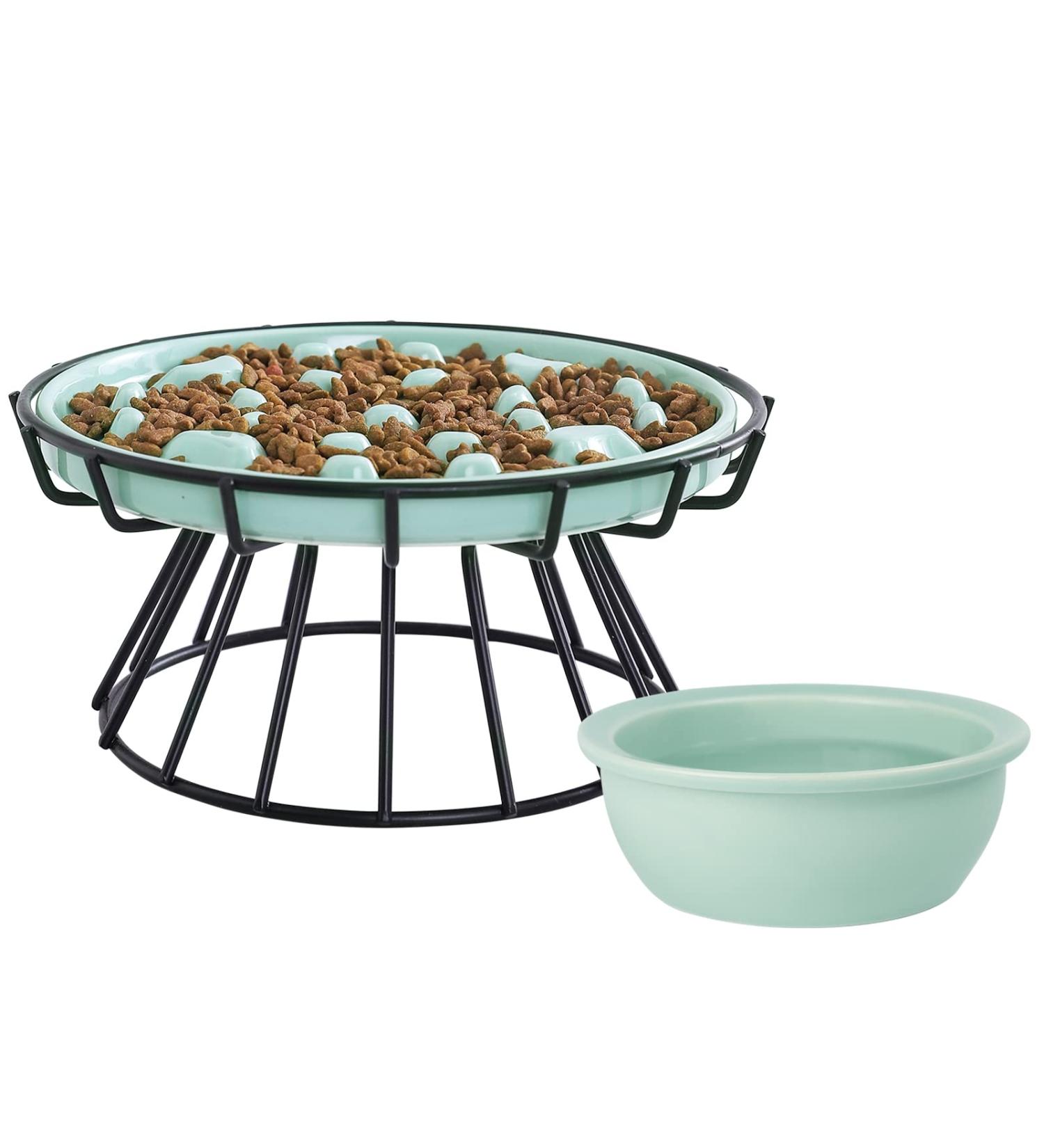 Elevated Slow Feeder Cat Bowl with Water Bowl - Interactive Ceramic Pet Dish for Slowing Eating Speed, Preventing Bloat, Indigestion, and Vomiting - Green - Buy Online on GoSupps.com