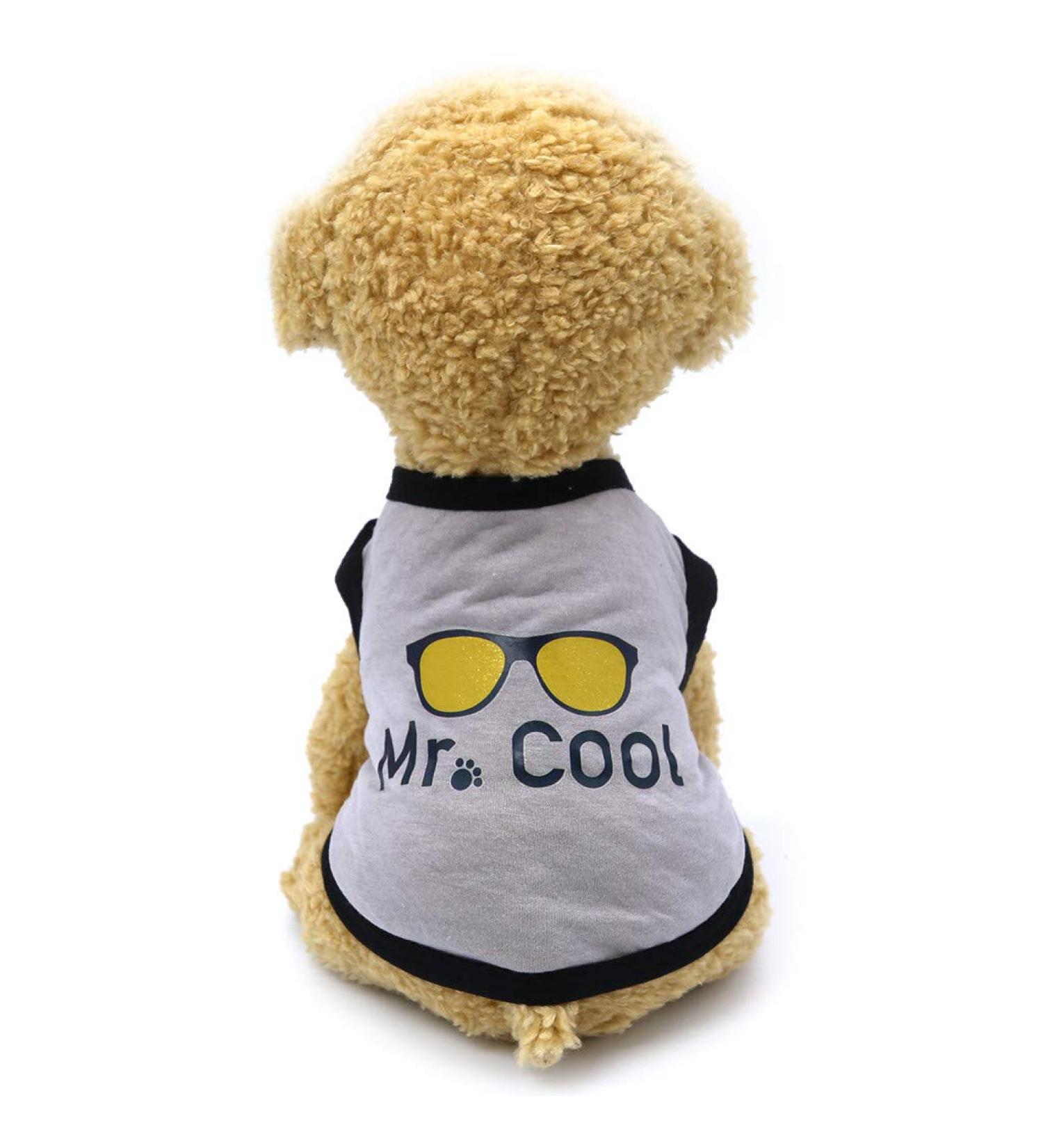 Waterproof Winter Dog Coat - Warm Jacket & Hoodie for Small Dogs | Fleece Pet Clothing - Buy Online on GoSupps.com