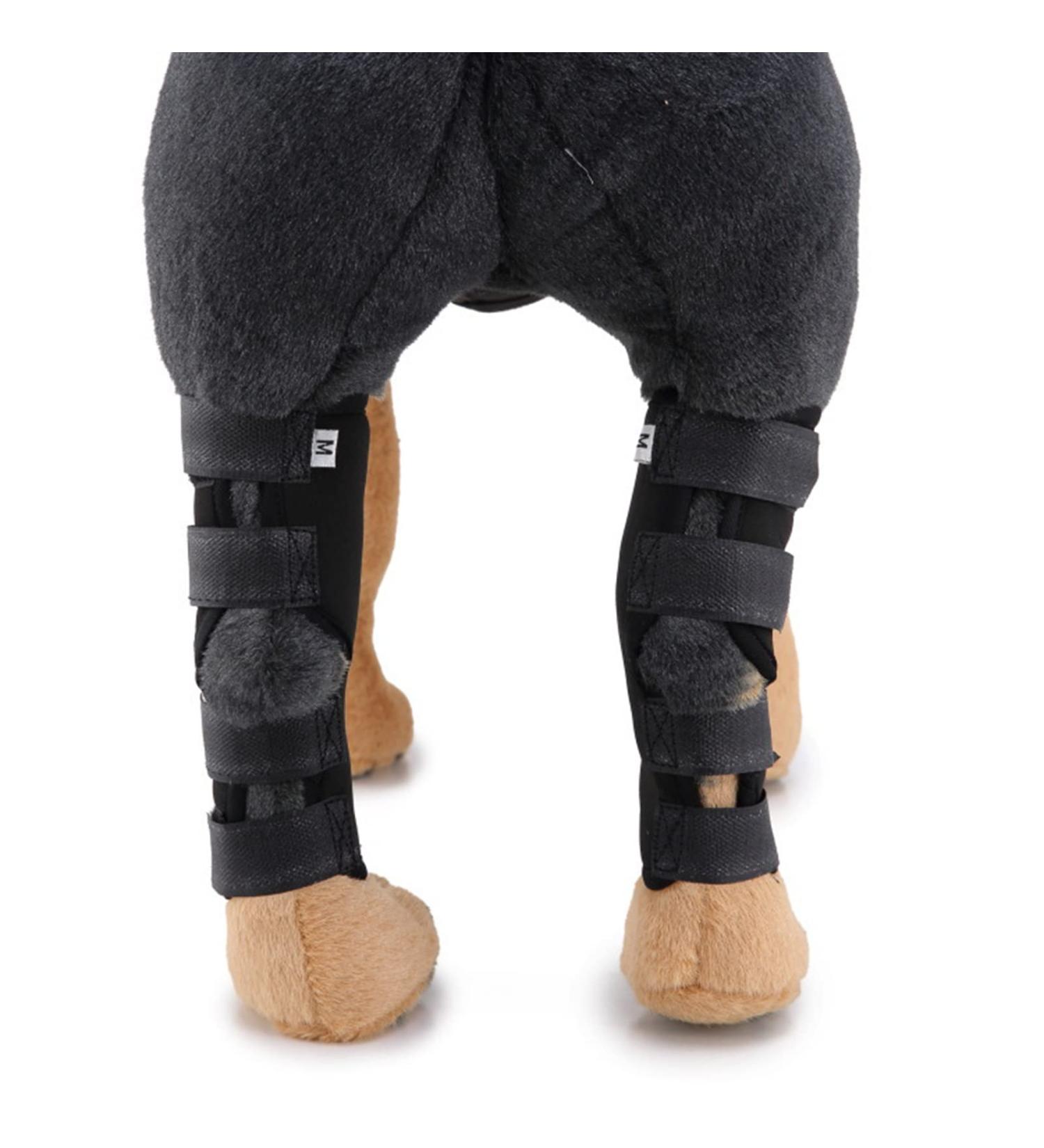 2pcs Dog Elbow Protector Pads Elbow Pads for Dogs Knee Brace for Dogs Adjustable Pet Knee Pads Strong Stability Dog Legs Protector for Recovering Injured(Black M) - Buy Online on GoSupps.com