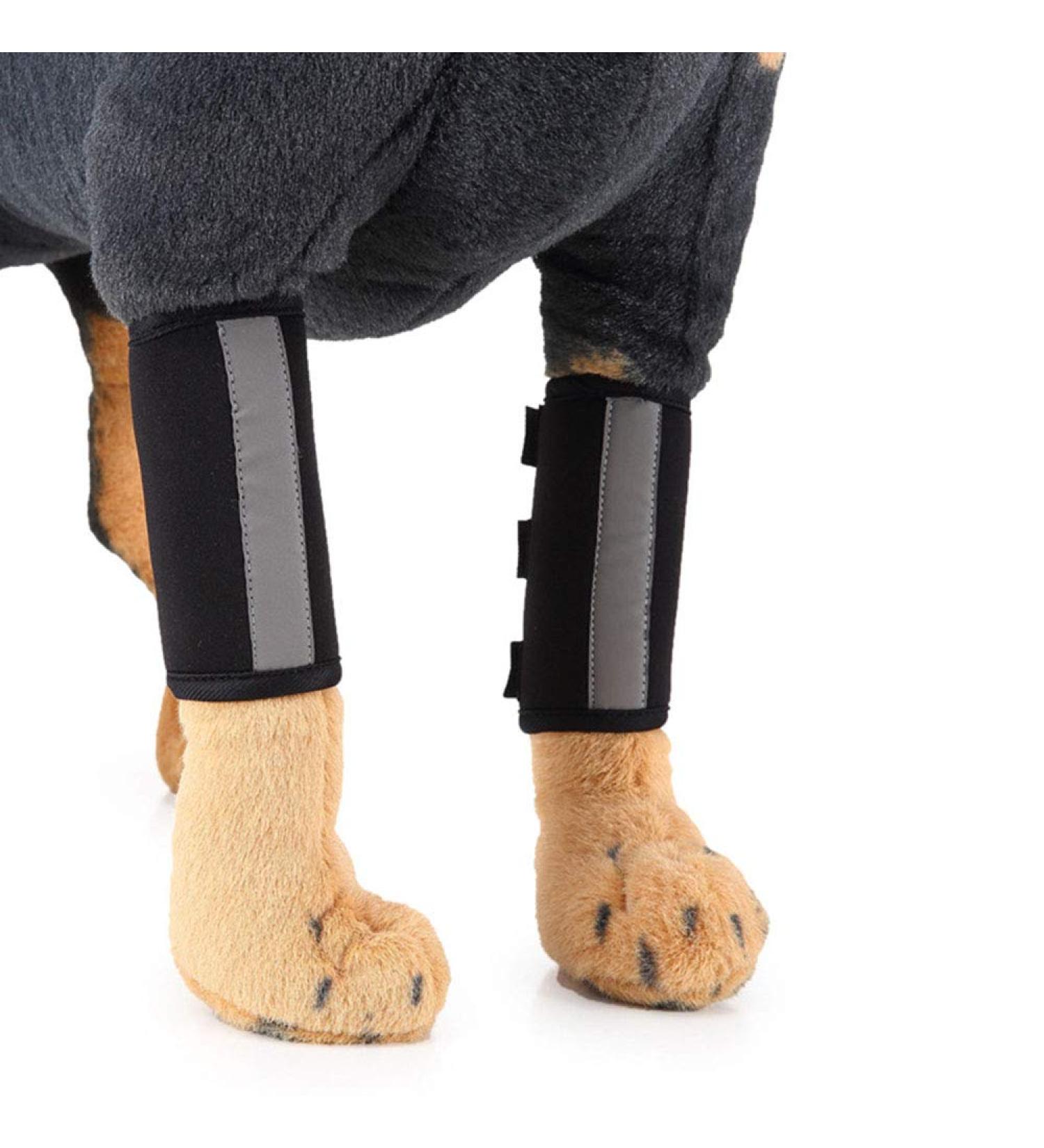RayMinsin with Reflective Tape Elbow Support Dog Leg Cover Knee Support can Help Treat sprains and Inflammation Caused by Arthritis (1Pair) (Black L) - Buy Online on GoSupps.com