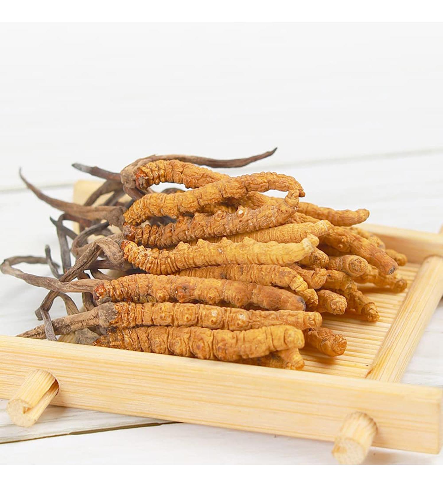 Wild Cordyceps Sinensis Wild Cordyceps Sinensis 9g - Buy Online on GoSupps.com