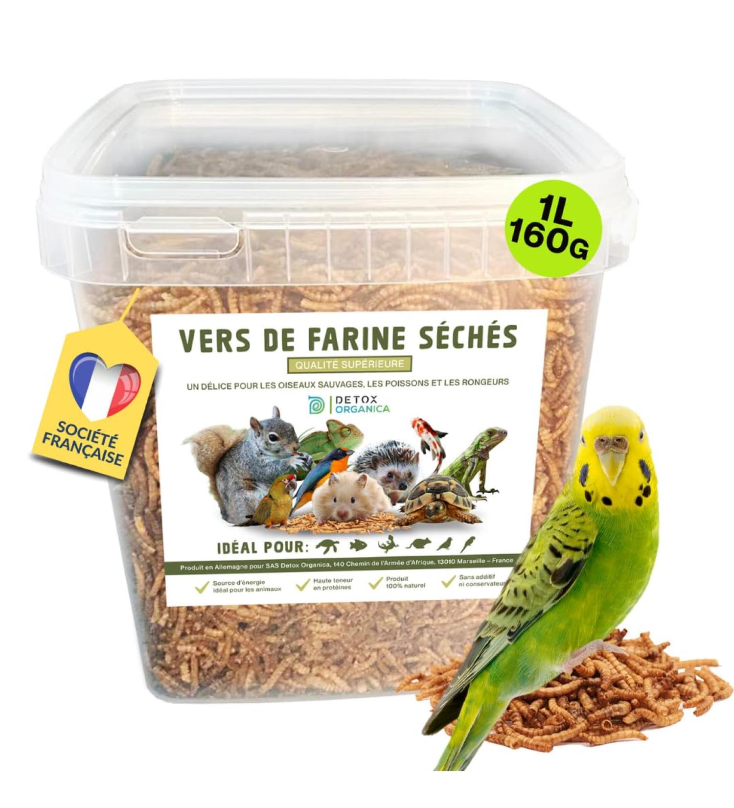Dried Mealworms 160g equivalent to 1000ml Premium Quality Treat for Birds Hedgehogs Turtles Reptiles Fish R - Buy Online on GoSupps.com