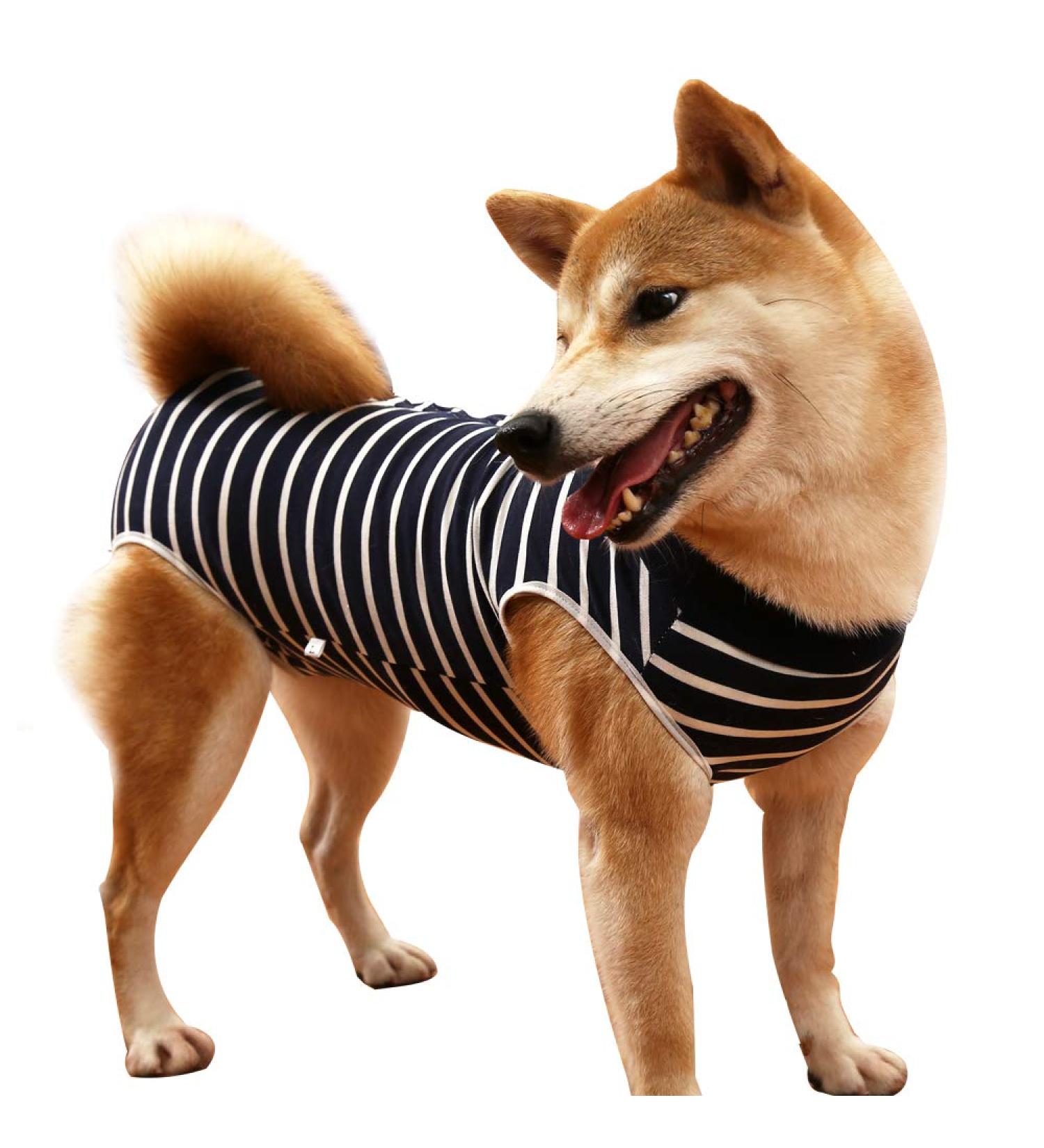 Breathable Dog Dividers for Surgical Wounds | XL Anti-Losing Cone & E-Neck Band Alternative - Blue Striped (1-Pack) - Buy Online on GoSupps.com